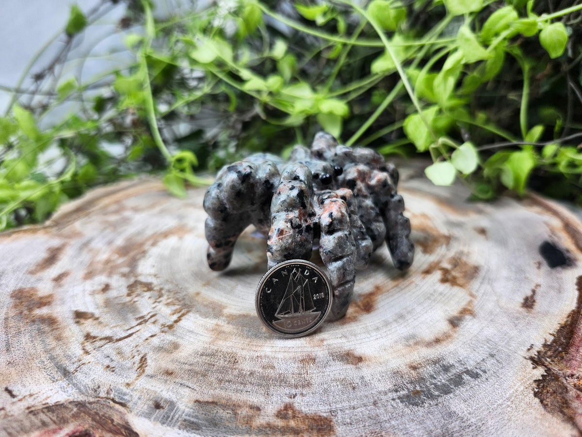 YOOPERLITE SPIDER