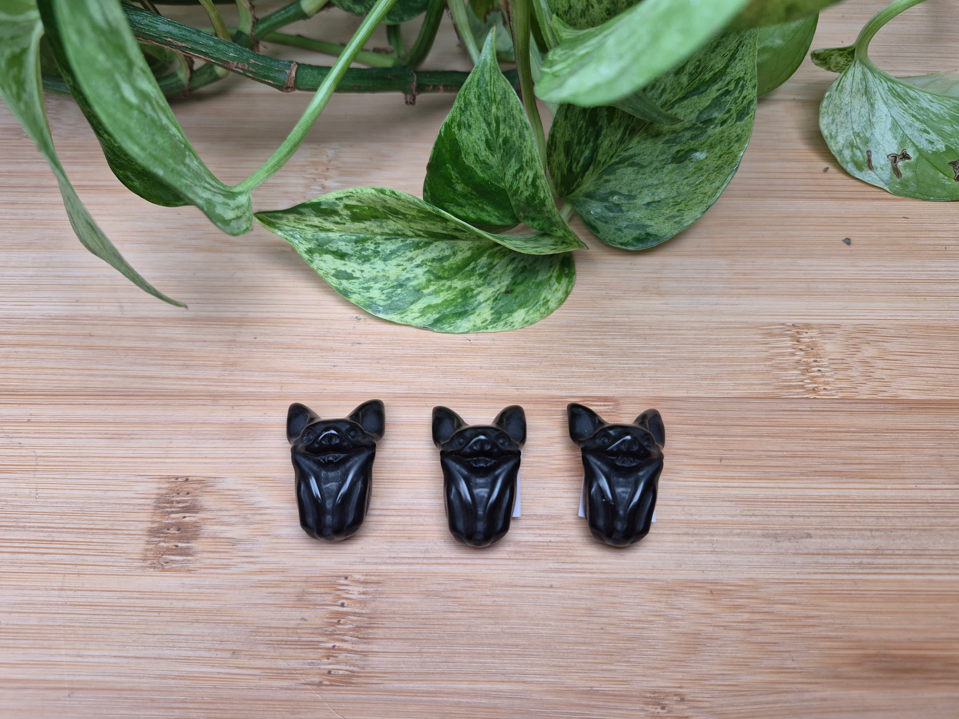OBSIDIAN BAT