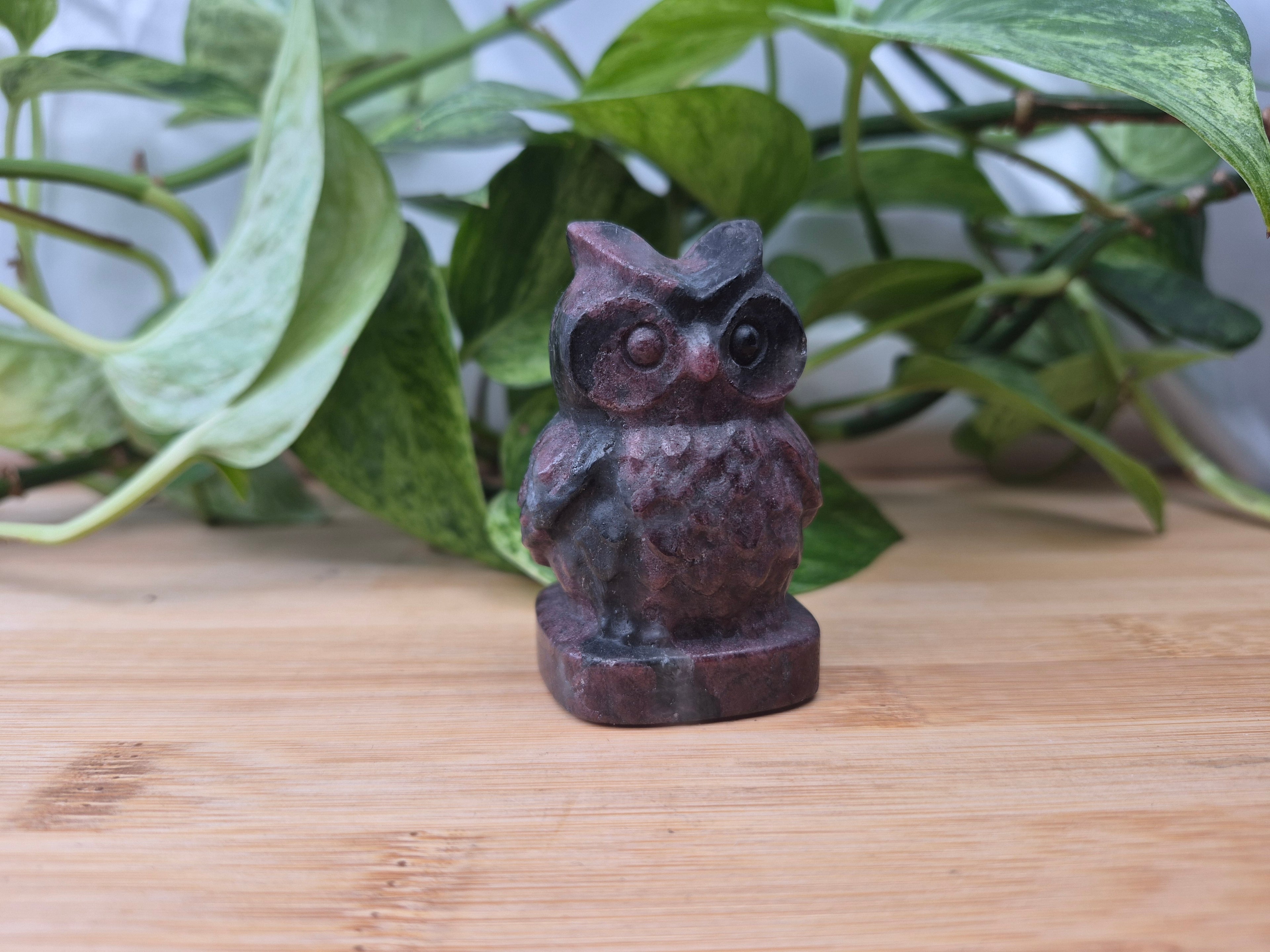 GARNET OWL