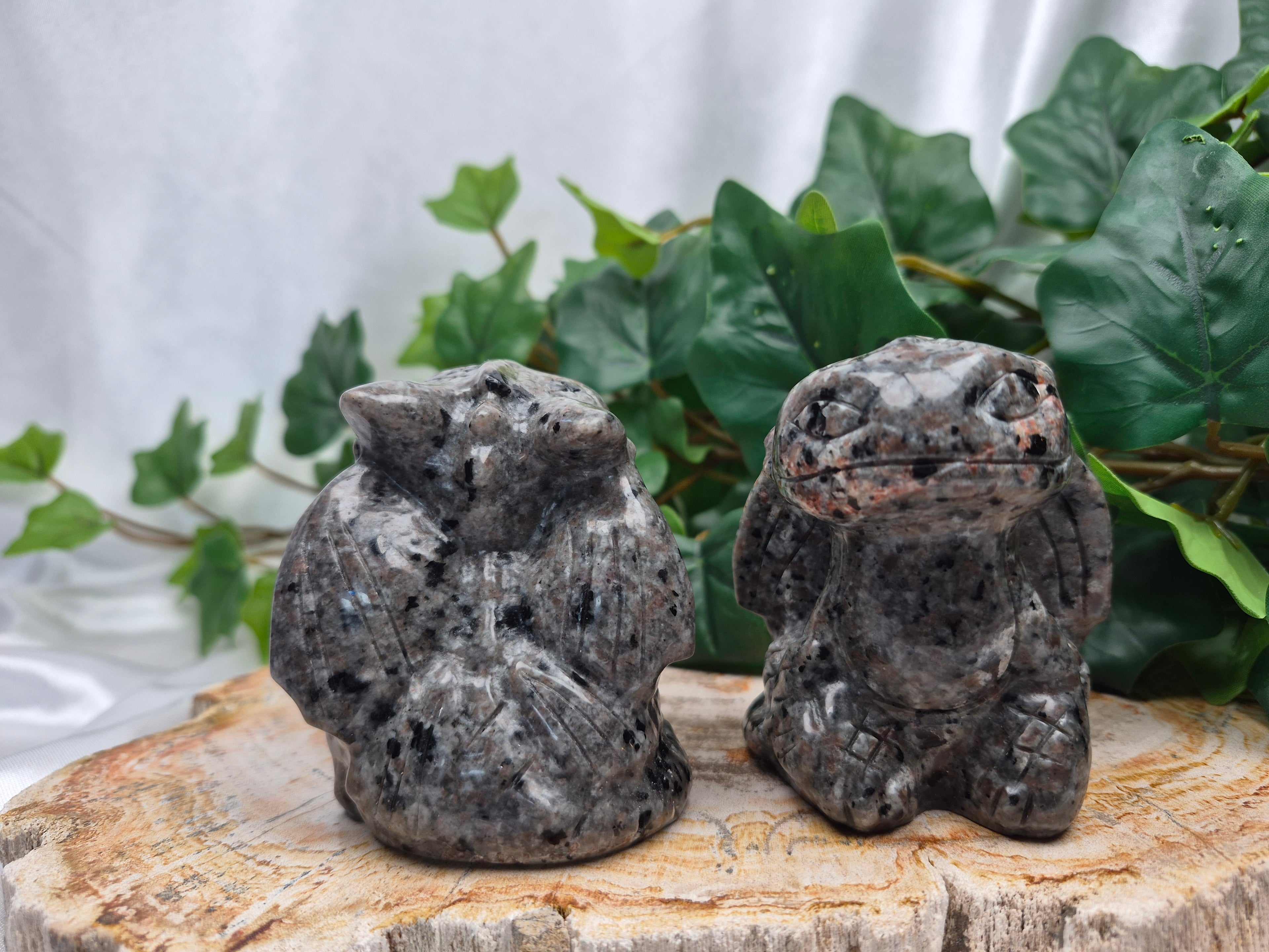 YOOPERLITE TOOTHLESS