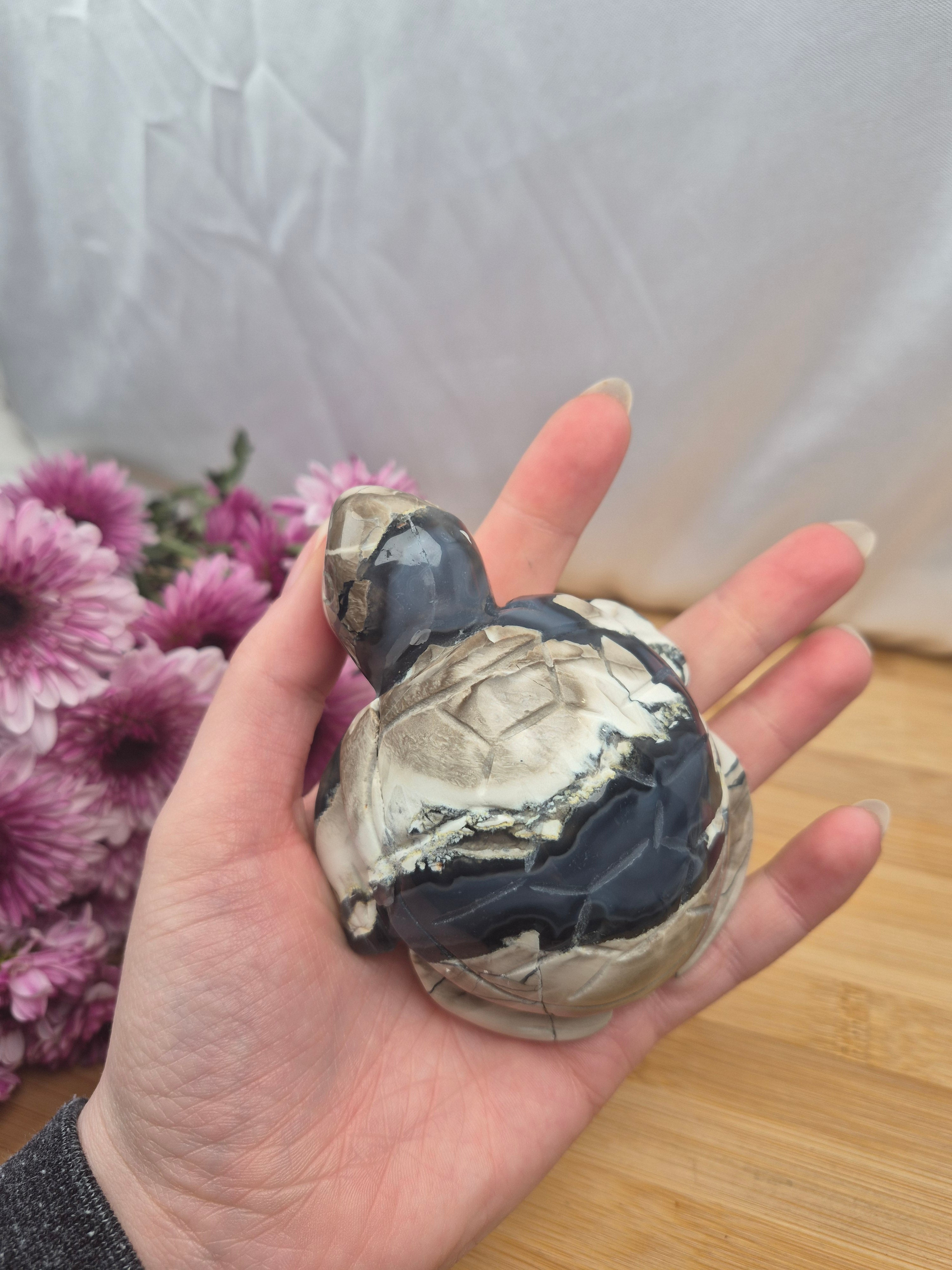 VOLCANO AGATE TURTLE