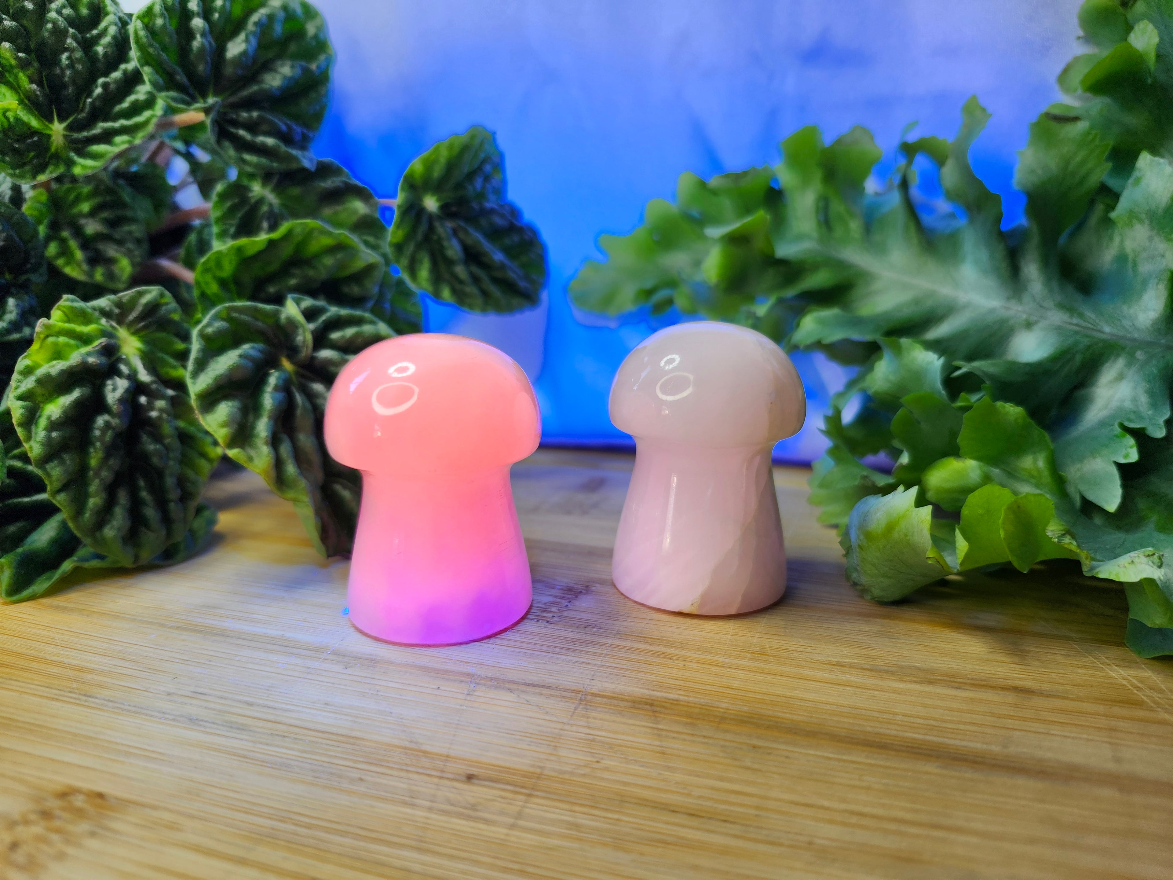 MANGANO CALCITE MUSHROOM