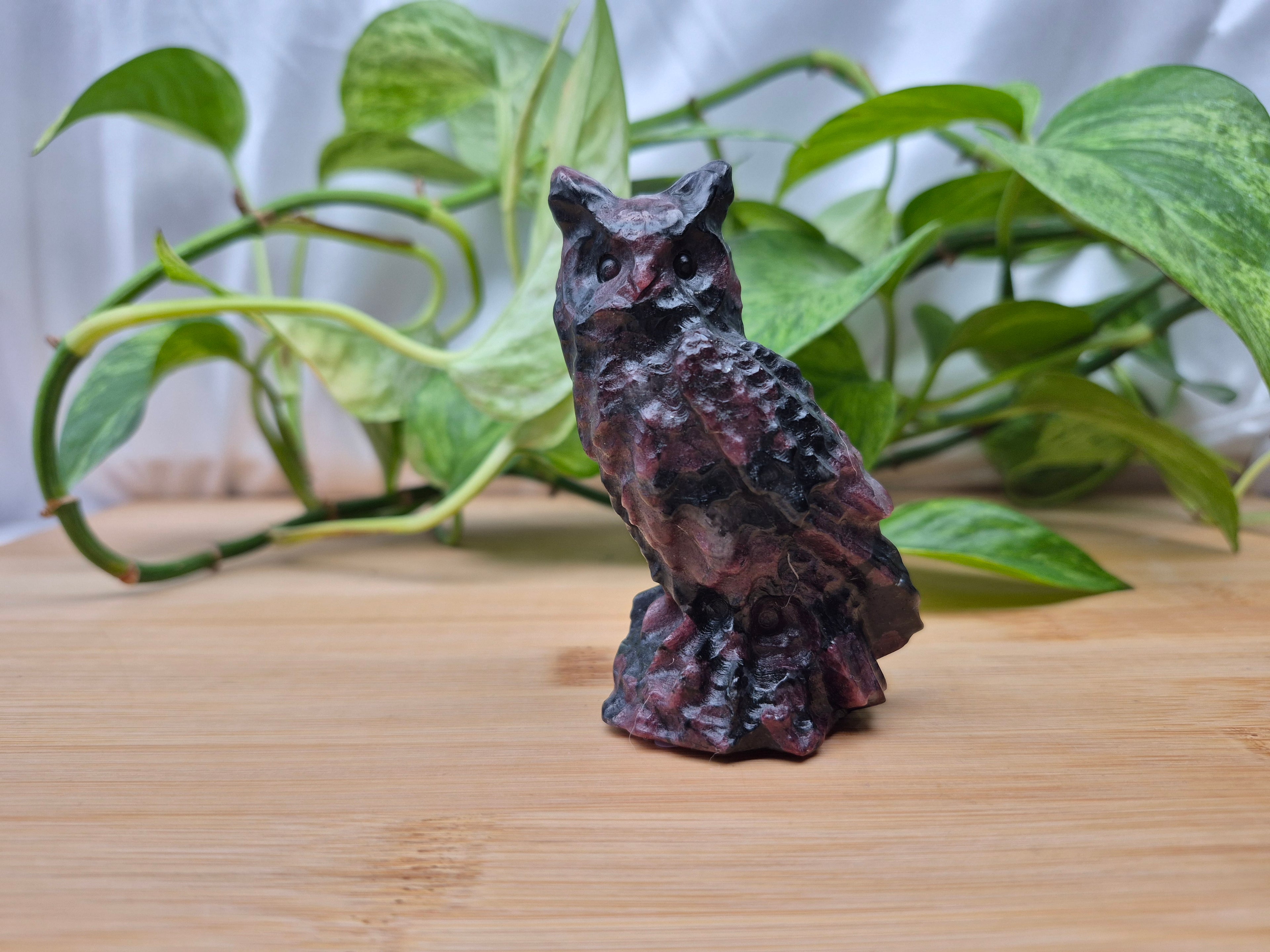 GARNET OWL