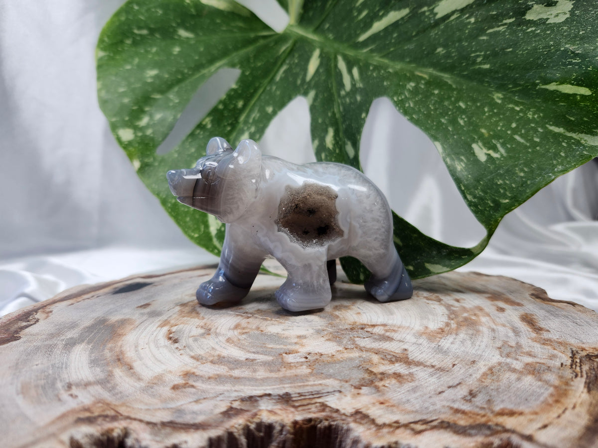 DRUZY AGATE BEAR