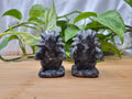 LARVIKITE SANDSLASH