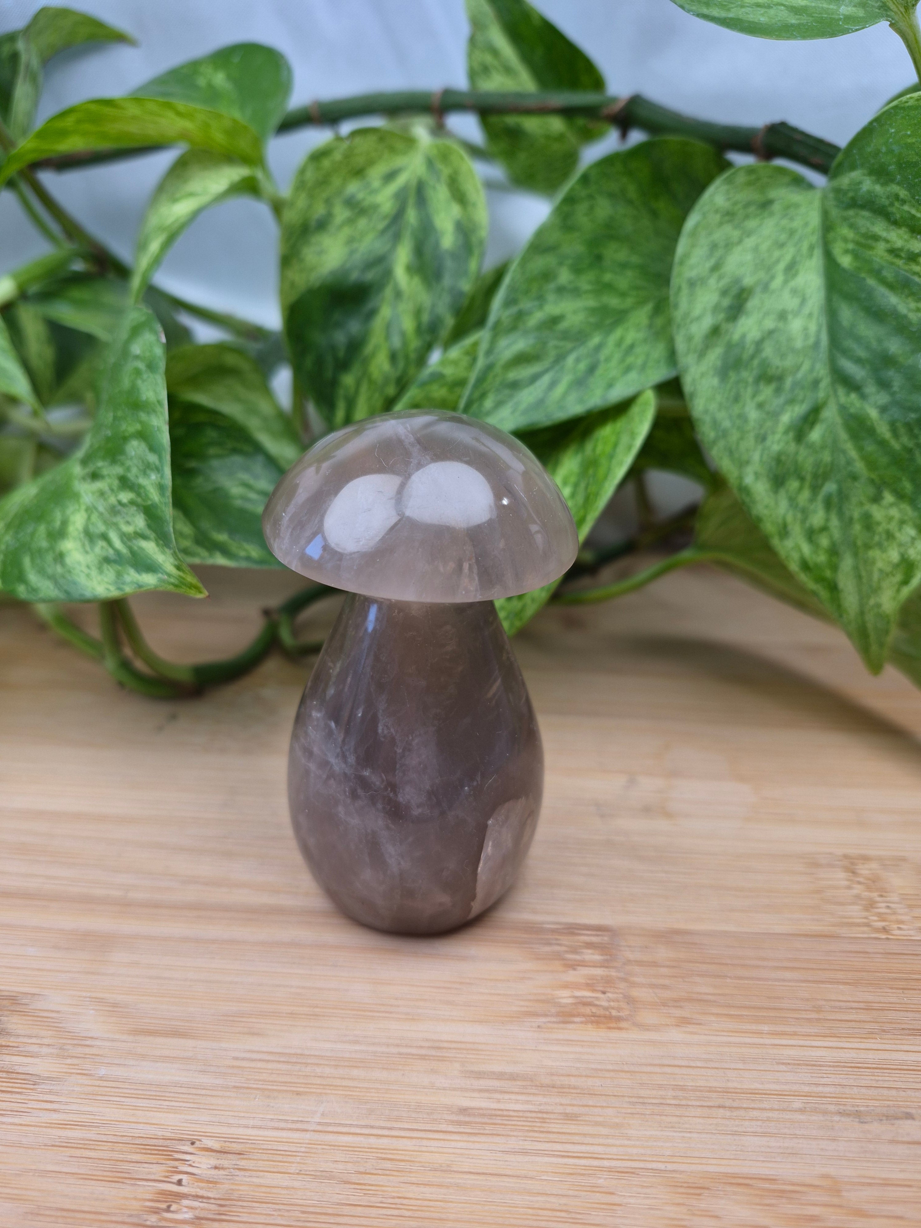 SMOKY MOONSTONE MUSHROOM