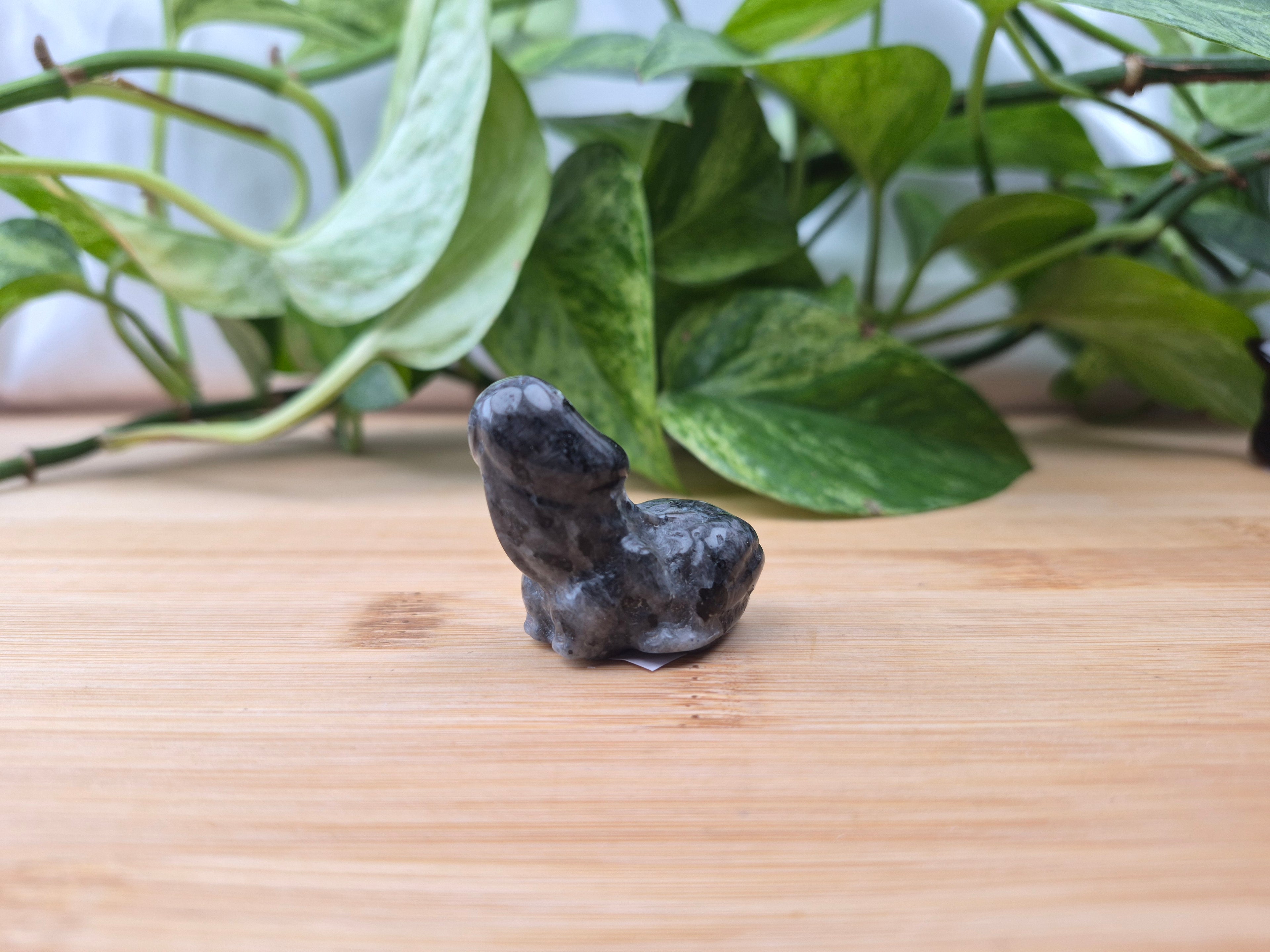 LARVIKITE DICK-A-TOAD