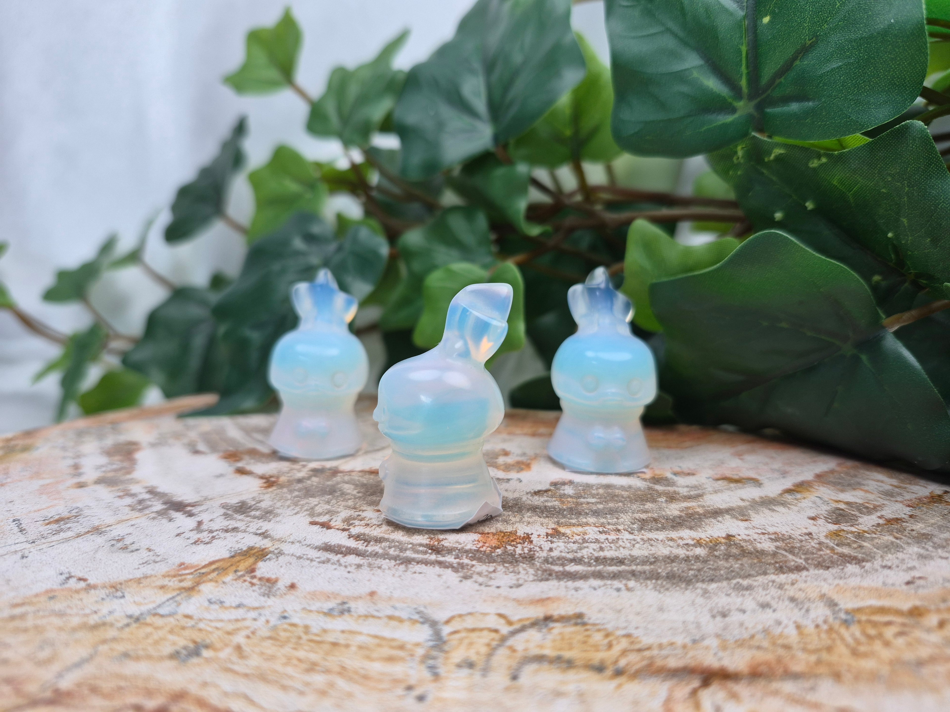 OPALITE TORCHIC