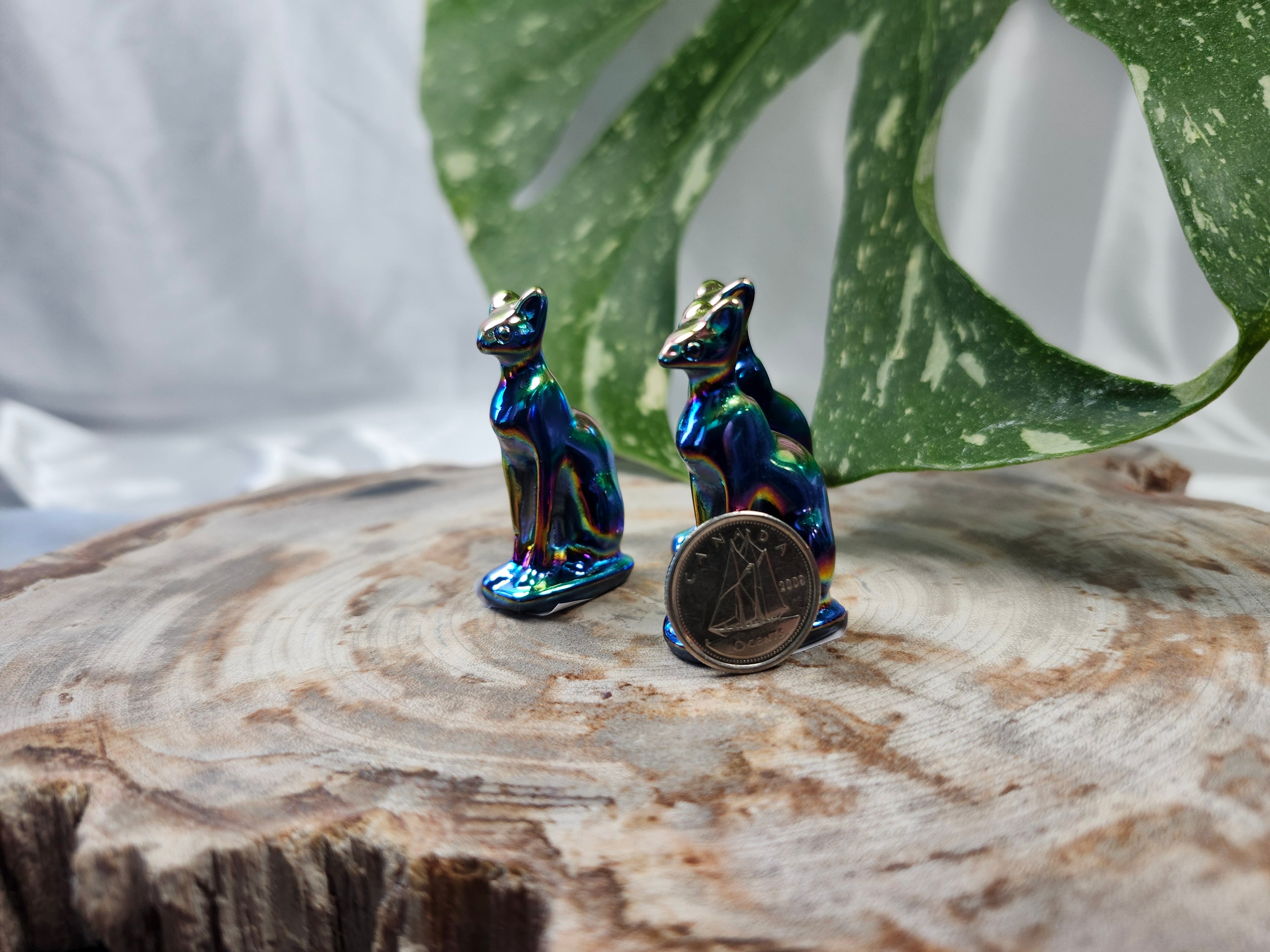 AURA COATED OBSIDIAN CAT