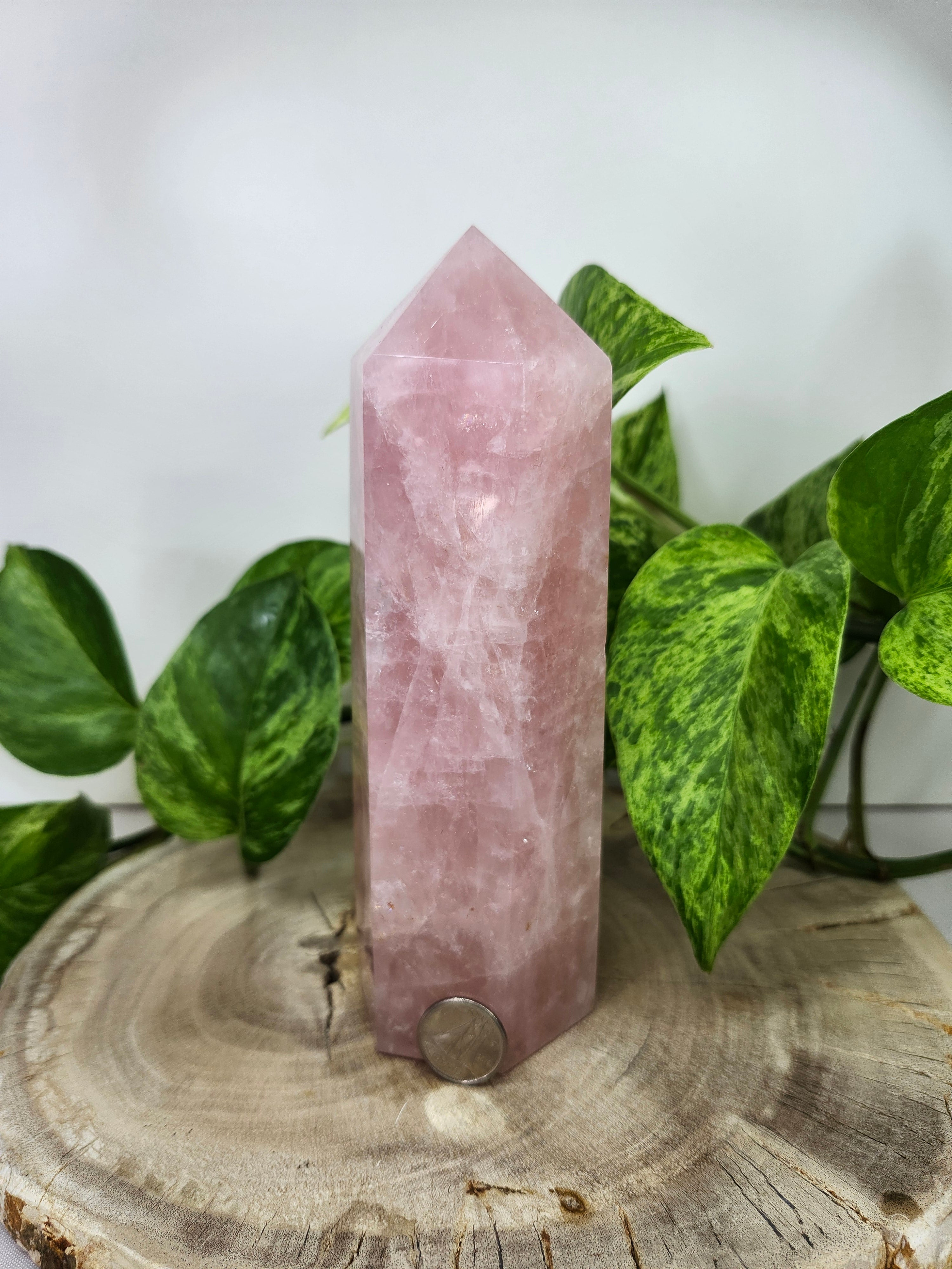 ROSE QUARTZ TOWER