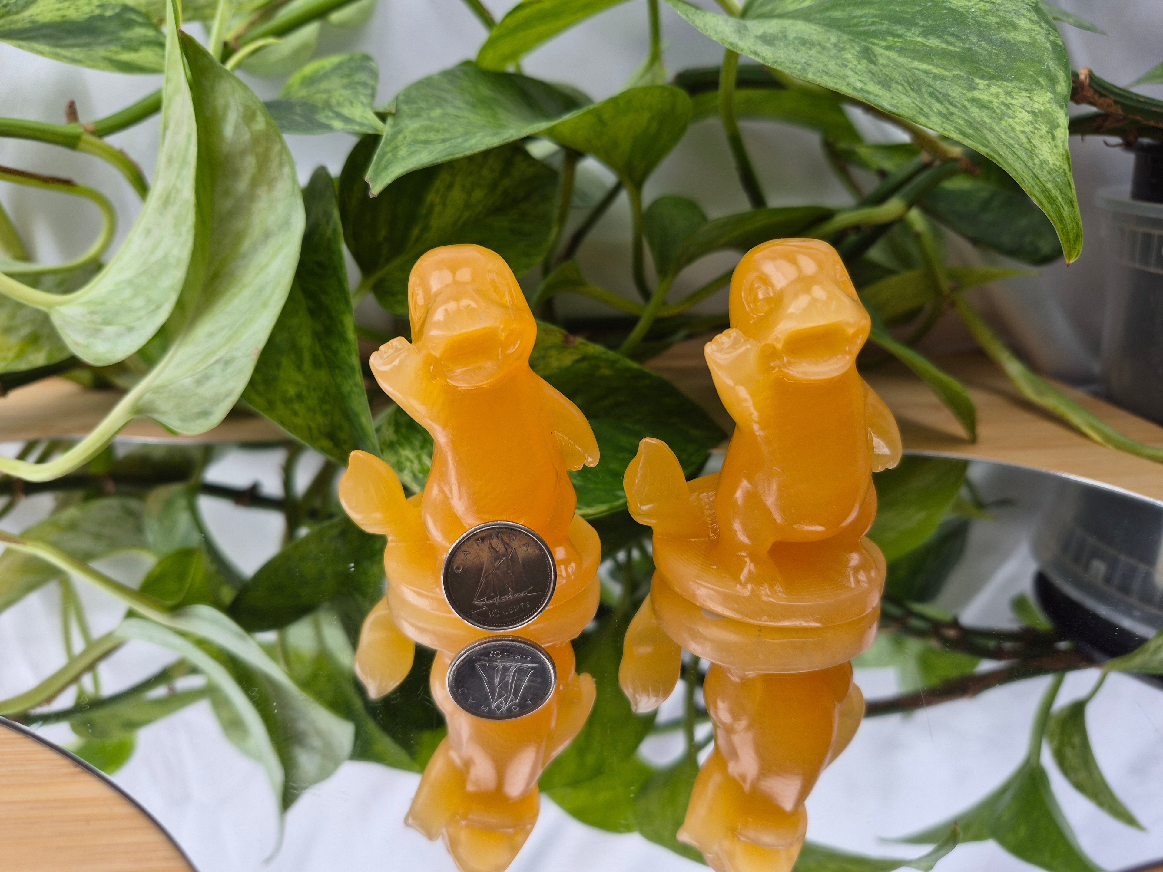ORANGE CALCITE CHARMANDER MD
