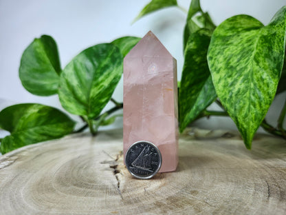 ROSE QUARTZ TOWER