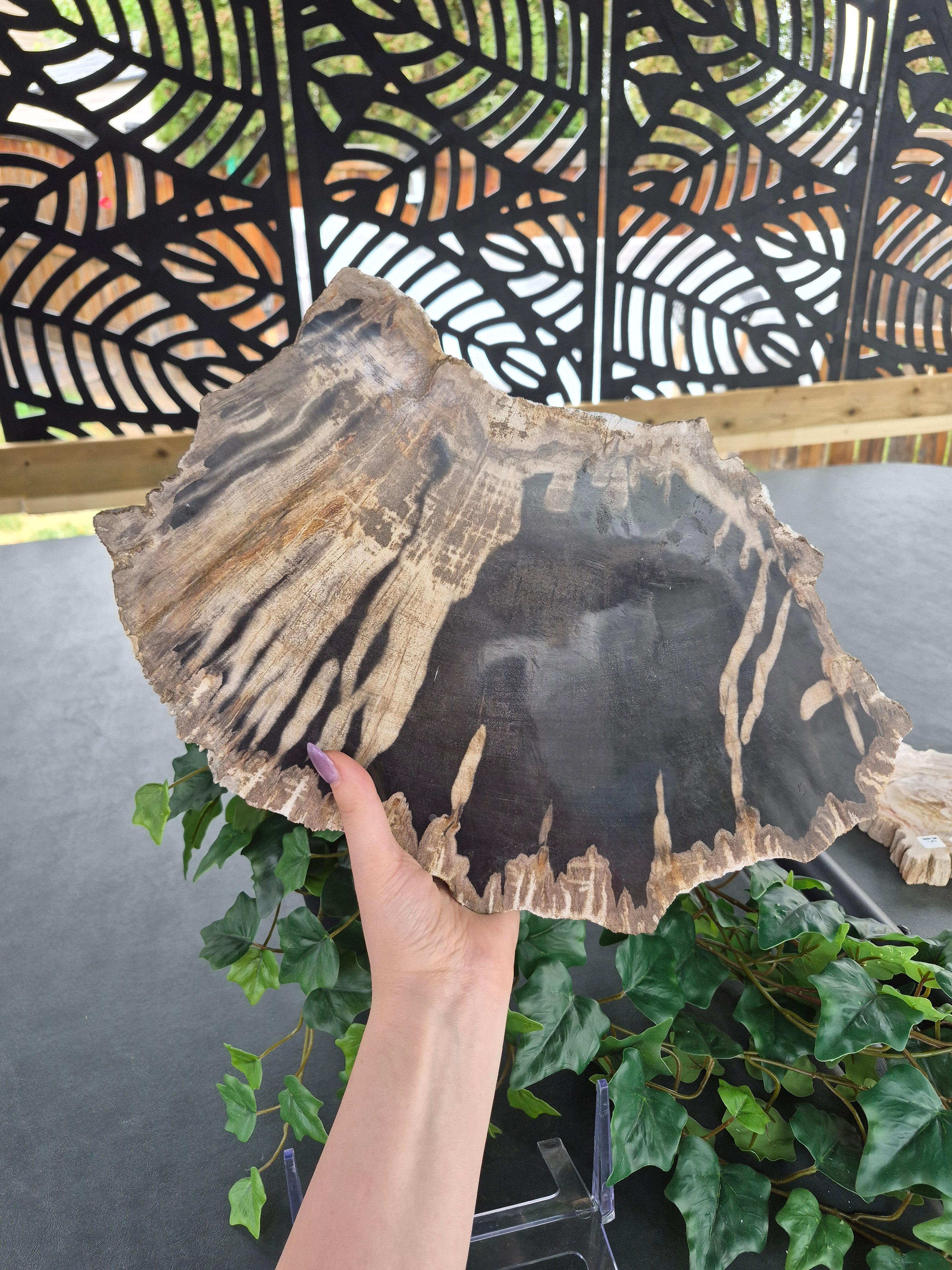 PETRIFIED WOOD SLAB #4