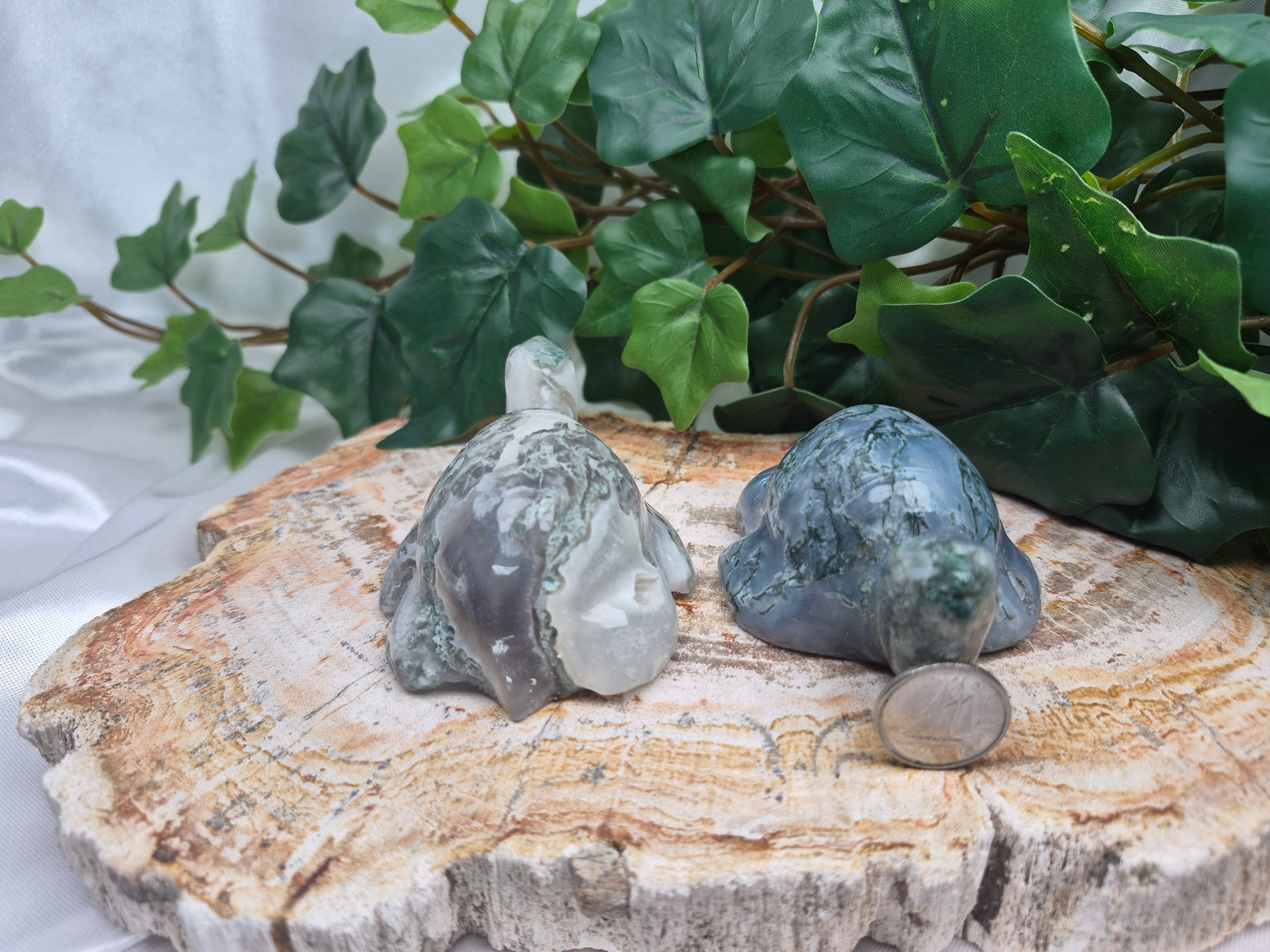 MOSS AGATE TURTLE