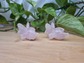 ROSE QUARTZ GOLDEEN LG