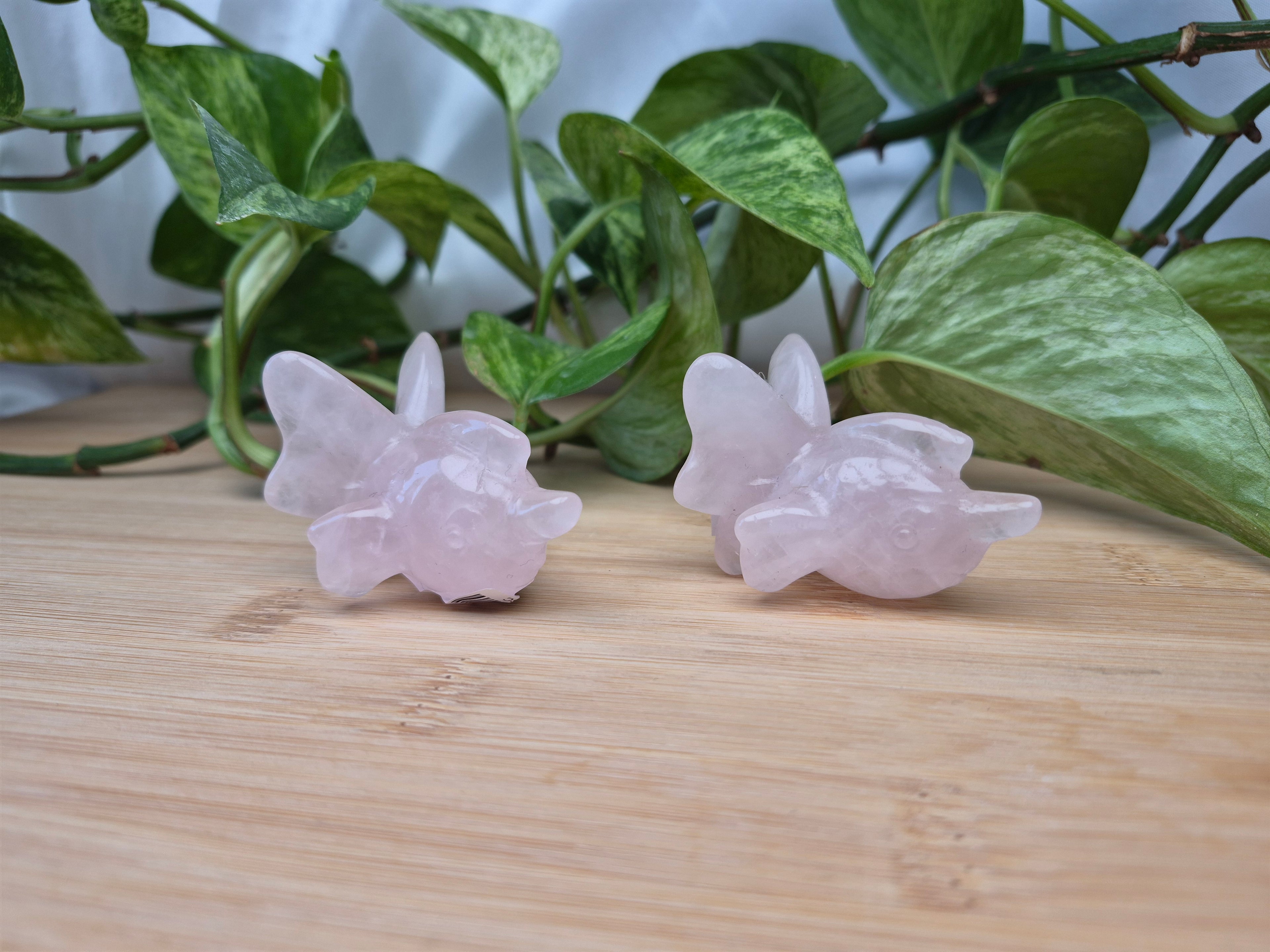 ROSE QUARTZ GOLDEEN LG
