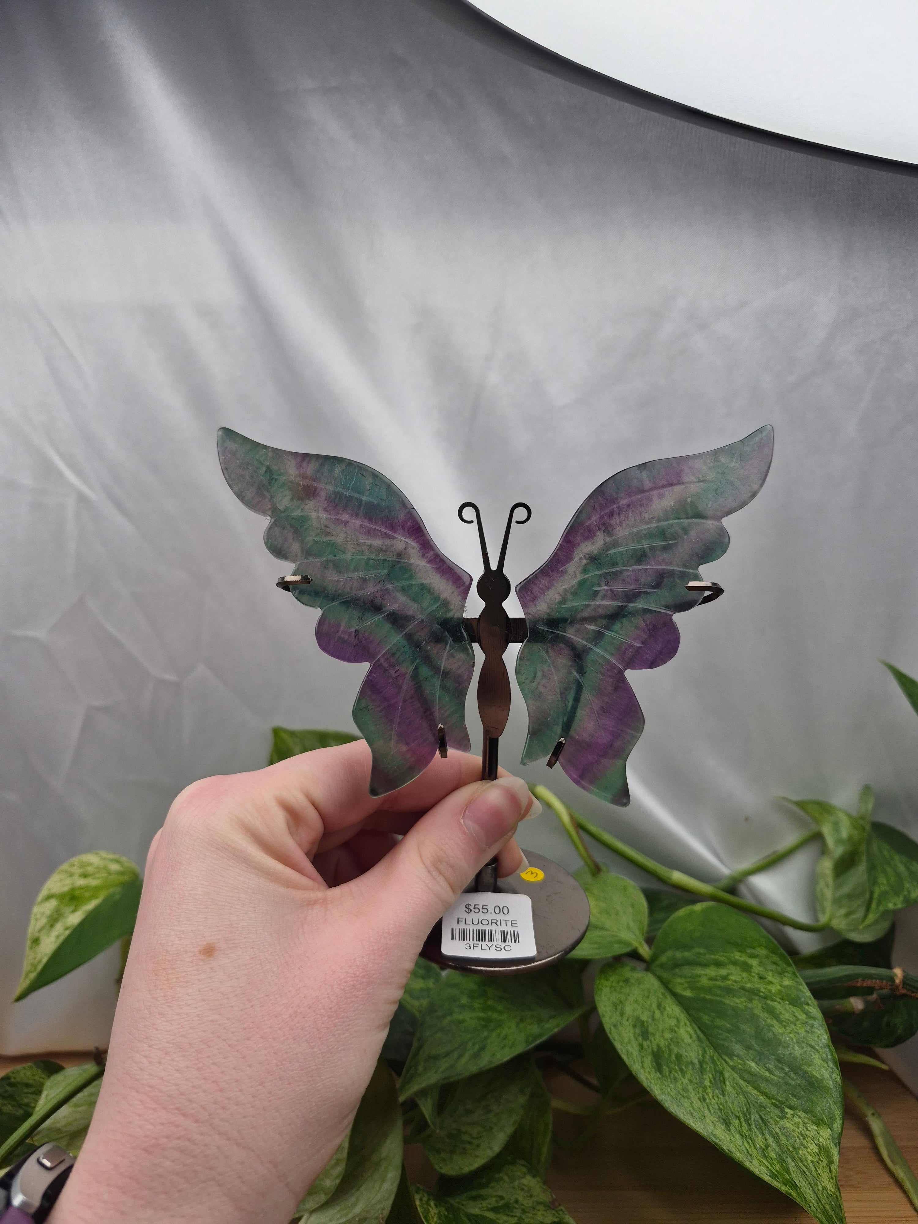 FLUORITE BUTTERFLY WINGS