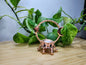 ROSE GOLD SPHERE STAND ROUND
