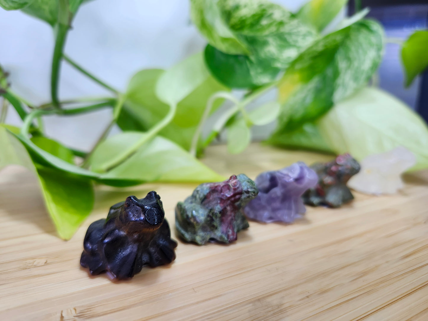MIXED CRYSTAL FROG