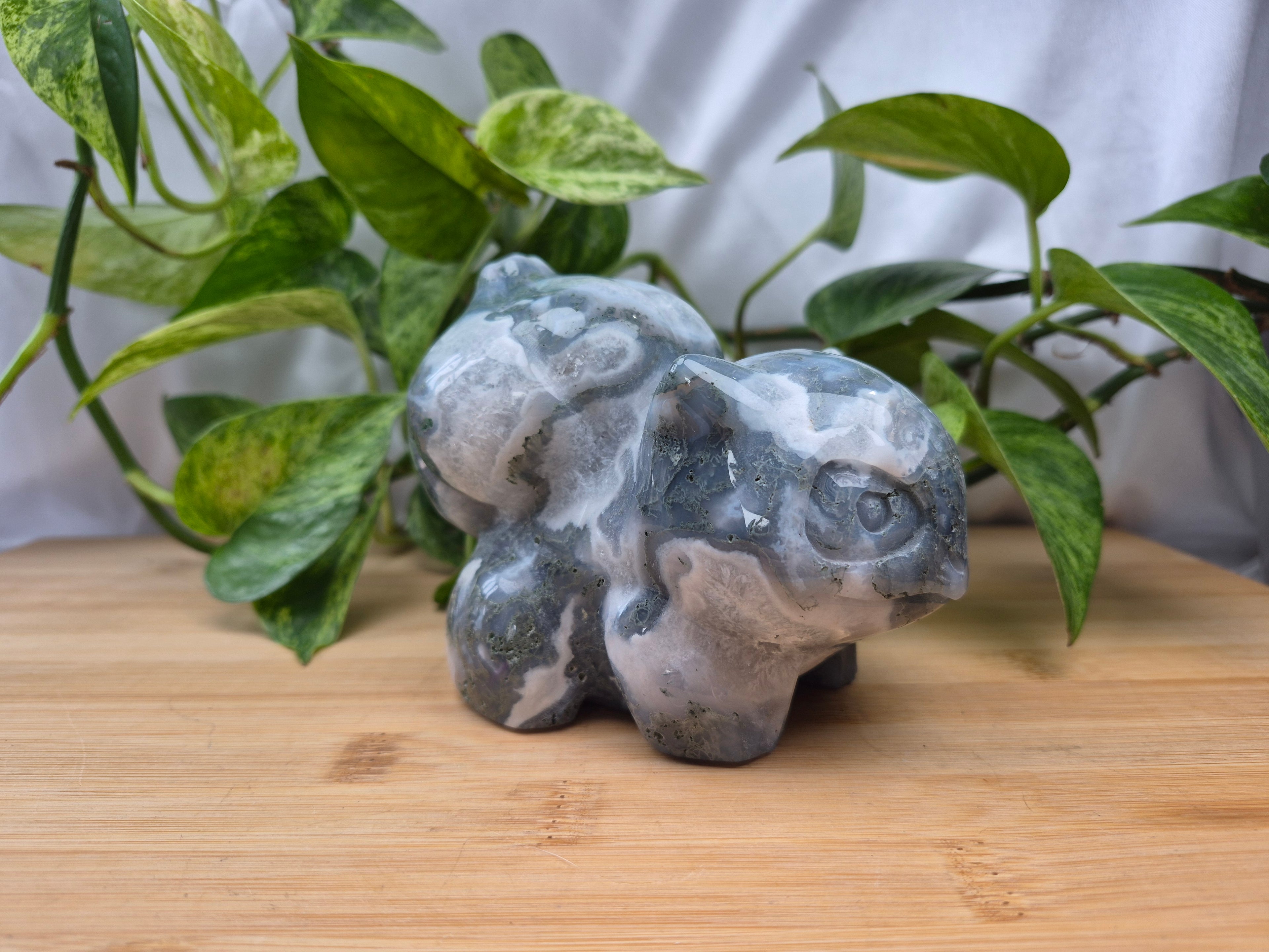 MOSS AGATE BULBASAUR XXL