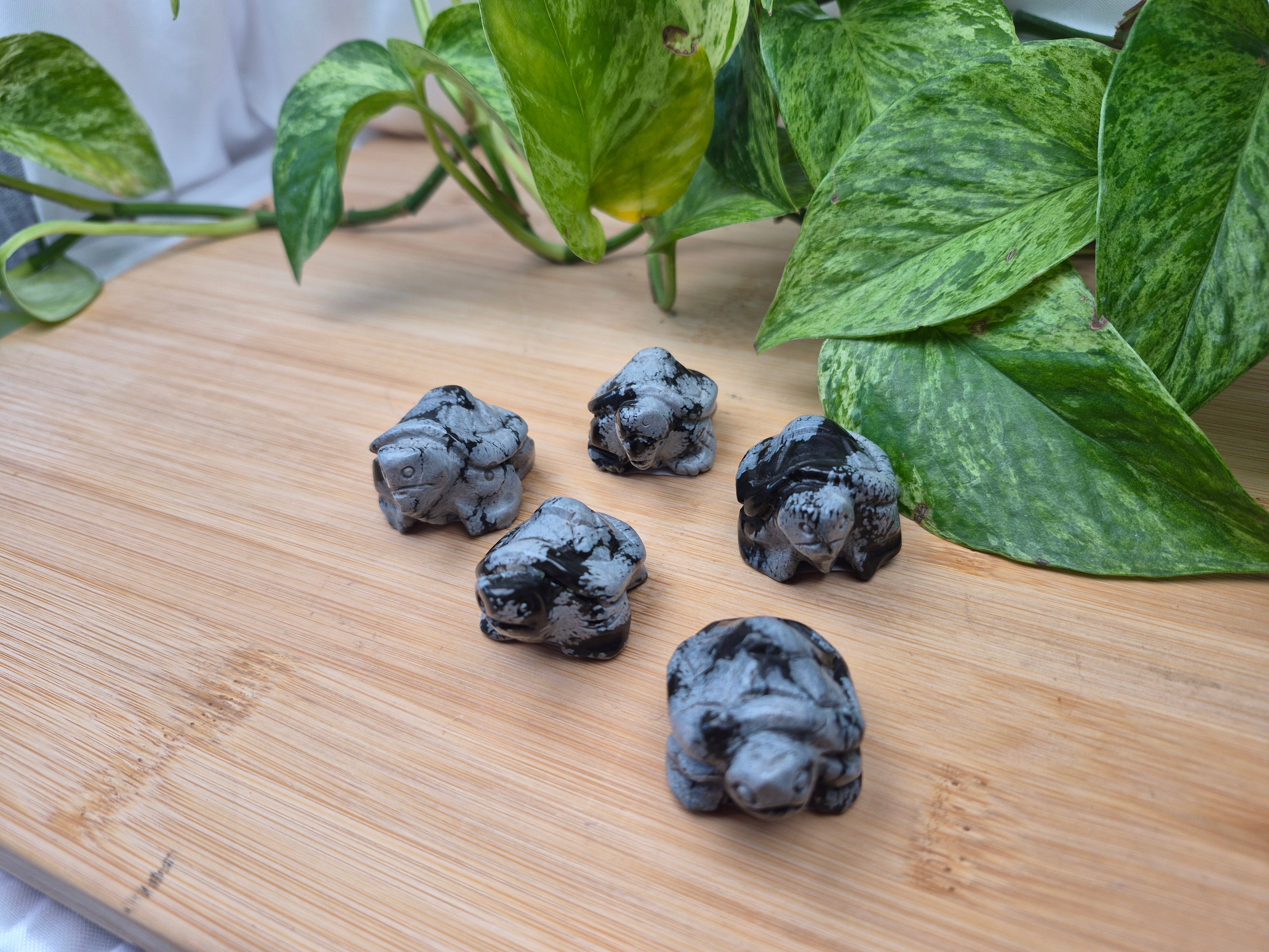 SNOWFLAKE OBSIDIAN TURTLE