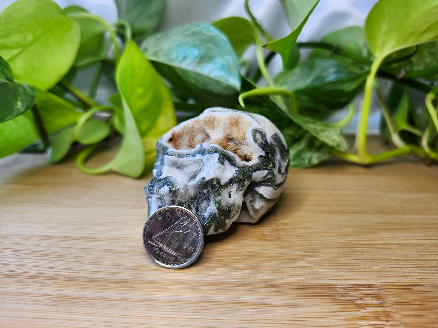 MOSS AGATE SKULL