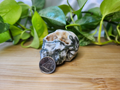 MOSS AGATE SKULL