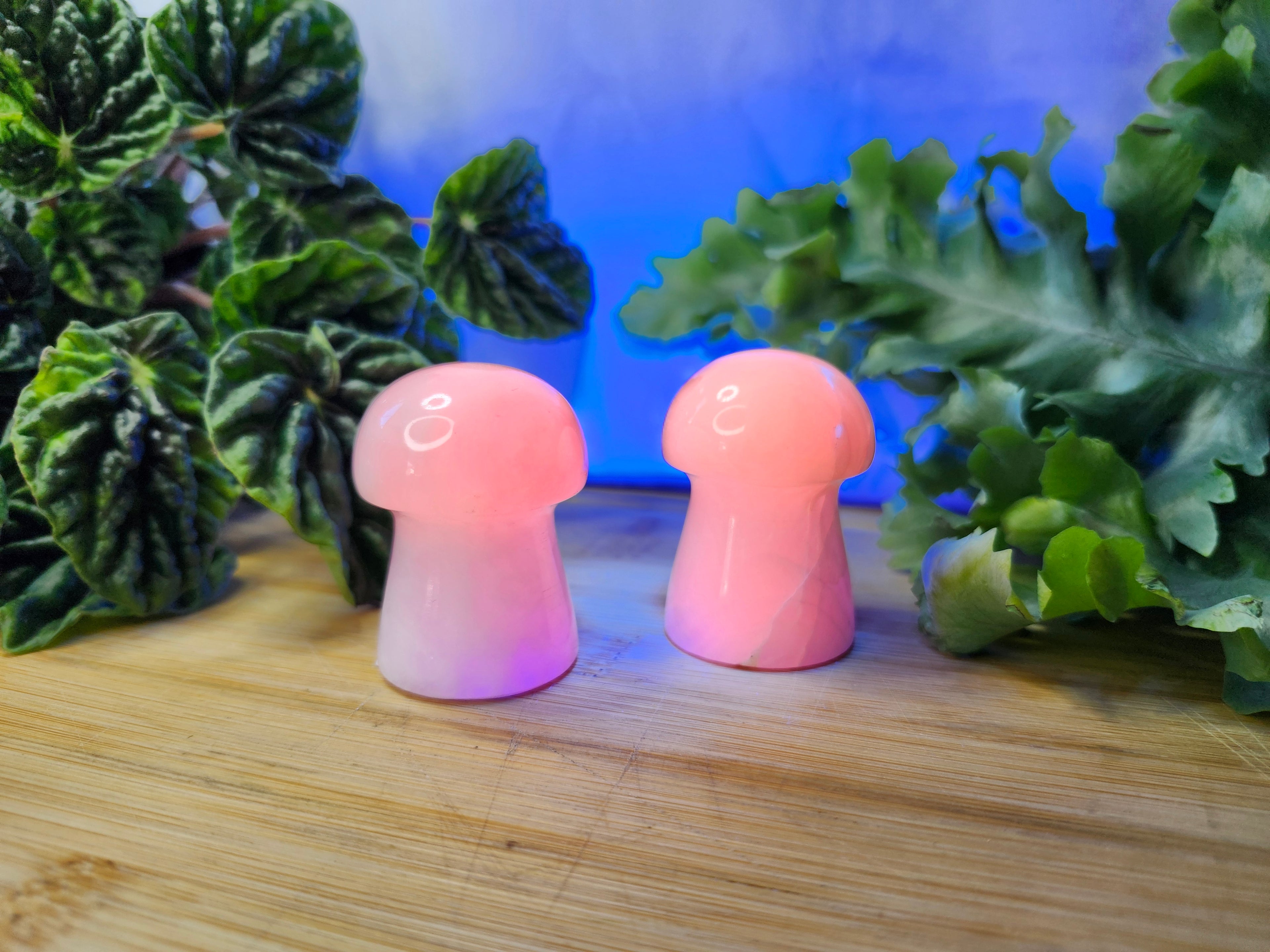 MANGANO CALCITE MUSHROOM