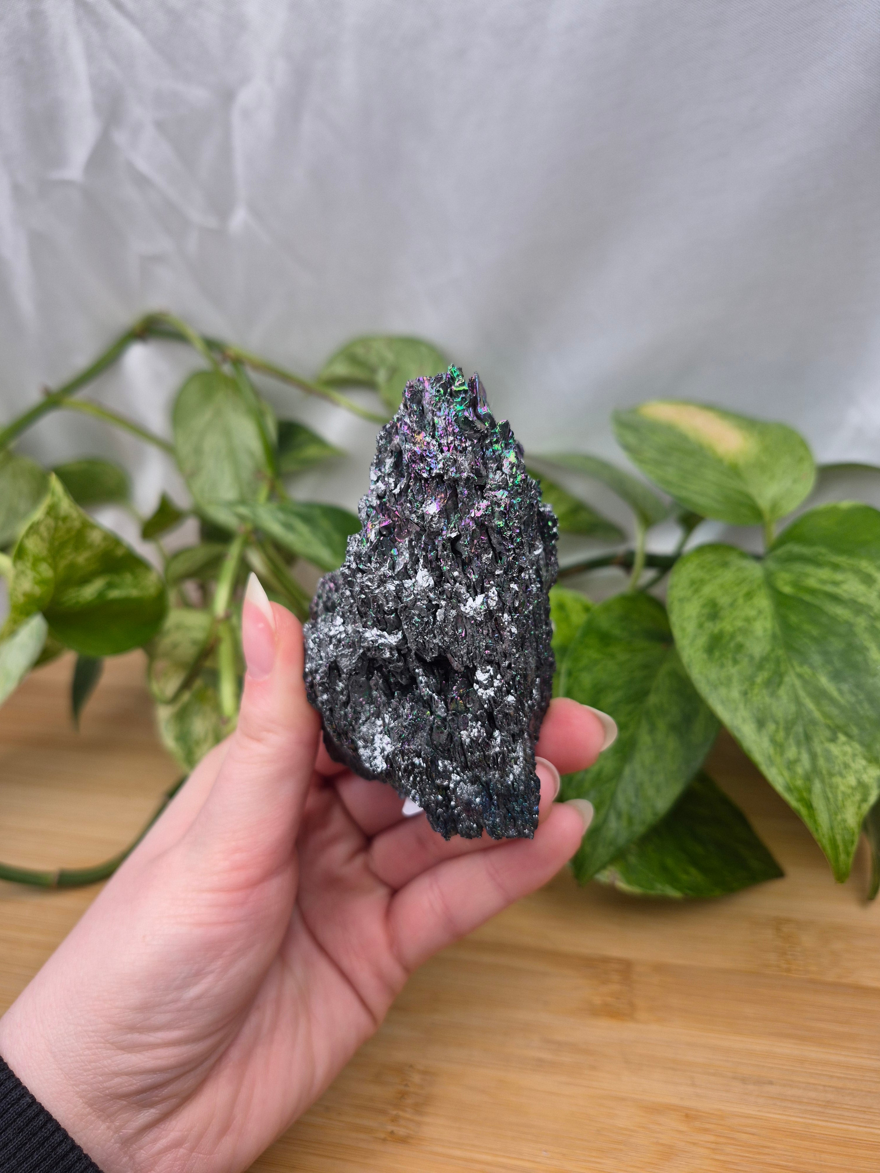 SILICON CARBIDE SPECIMEN