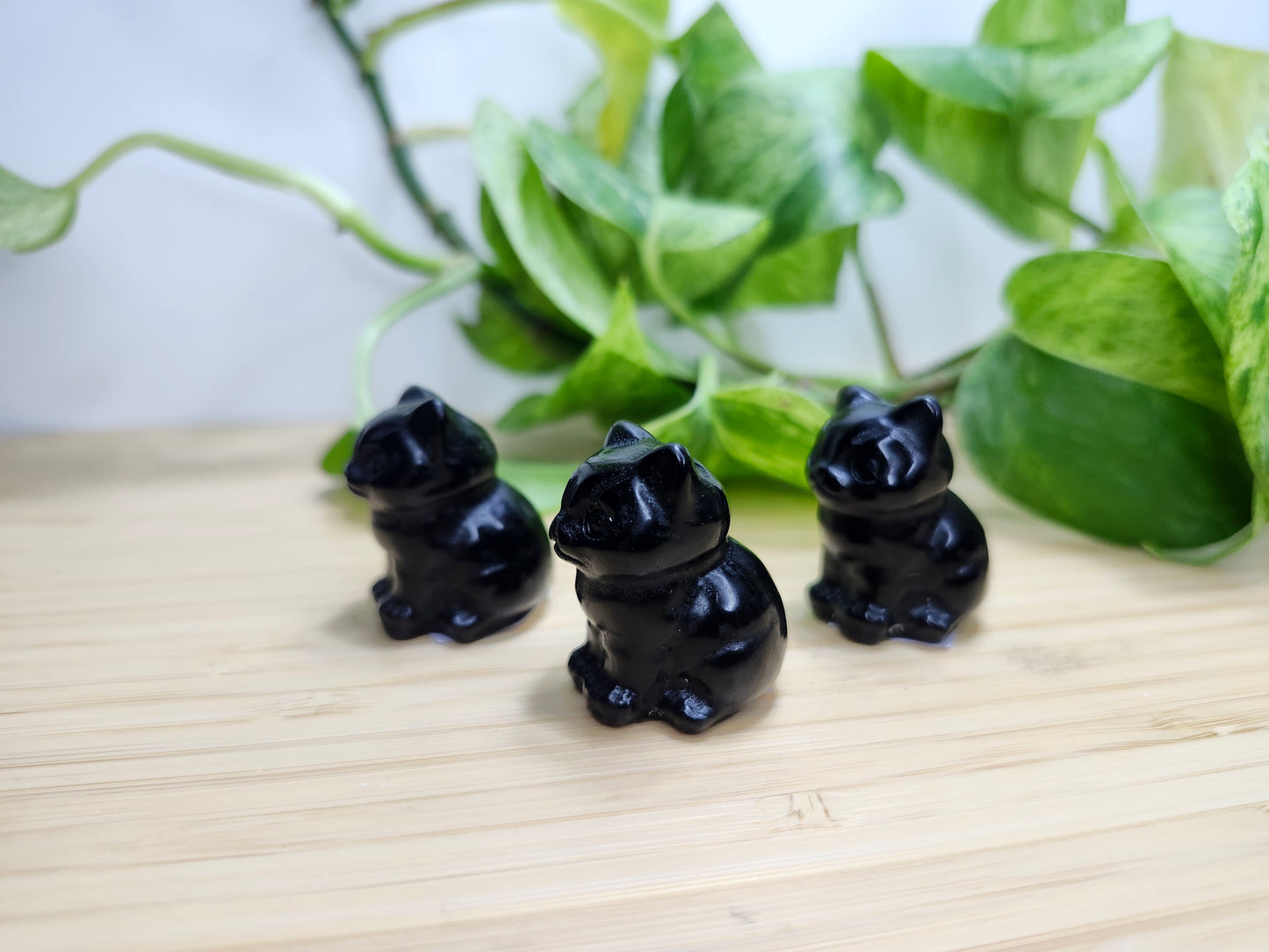 OBSIDIAN SITTING CAT