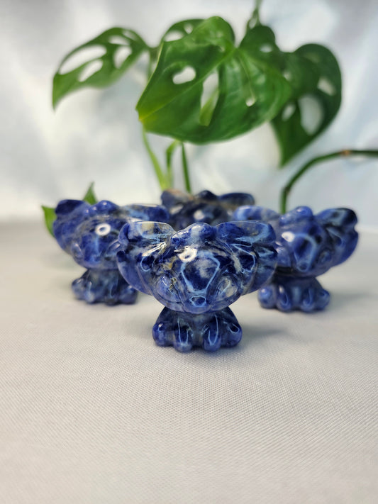SODALITE STITCH
