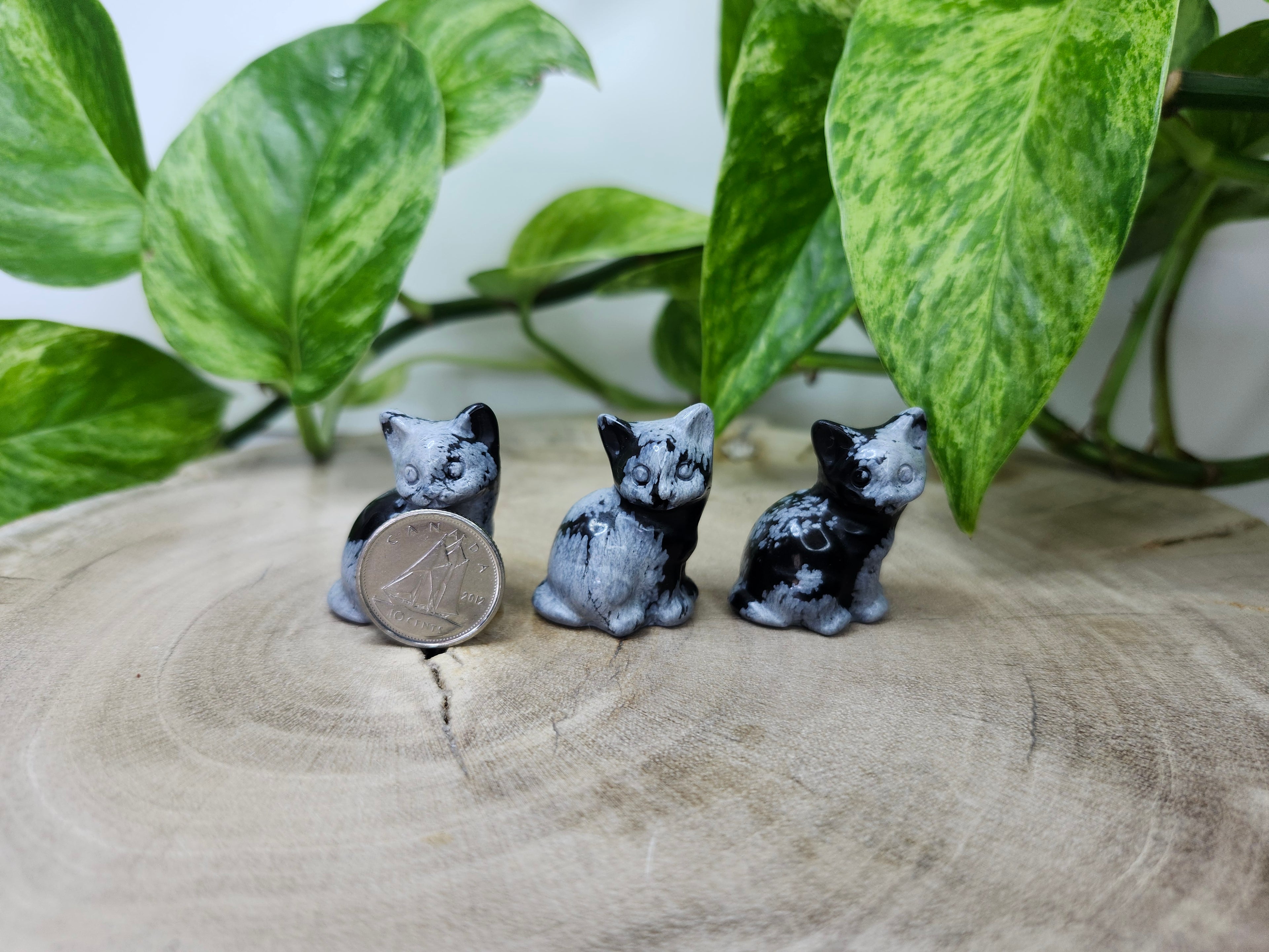 SNOWFLAKE OBSIDIAN SITTING CAT