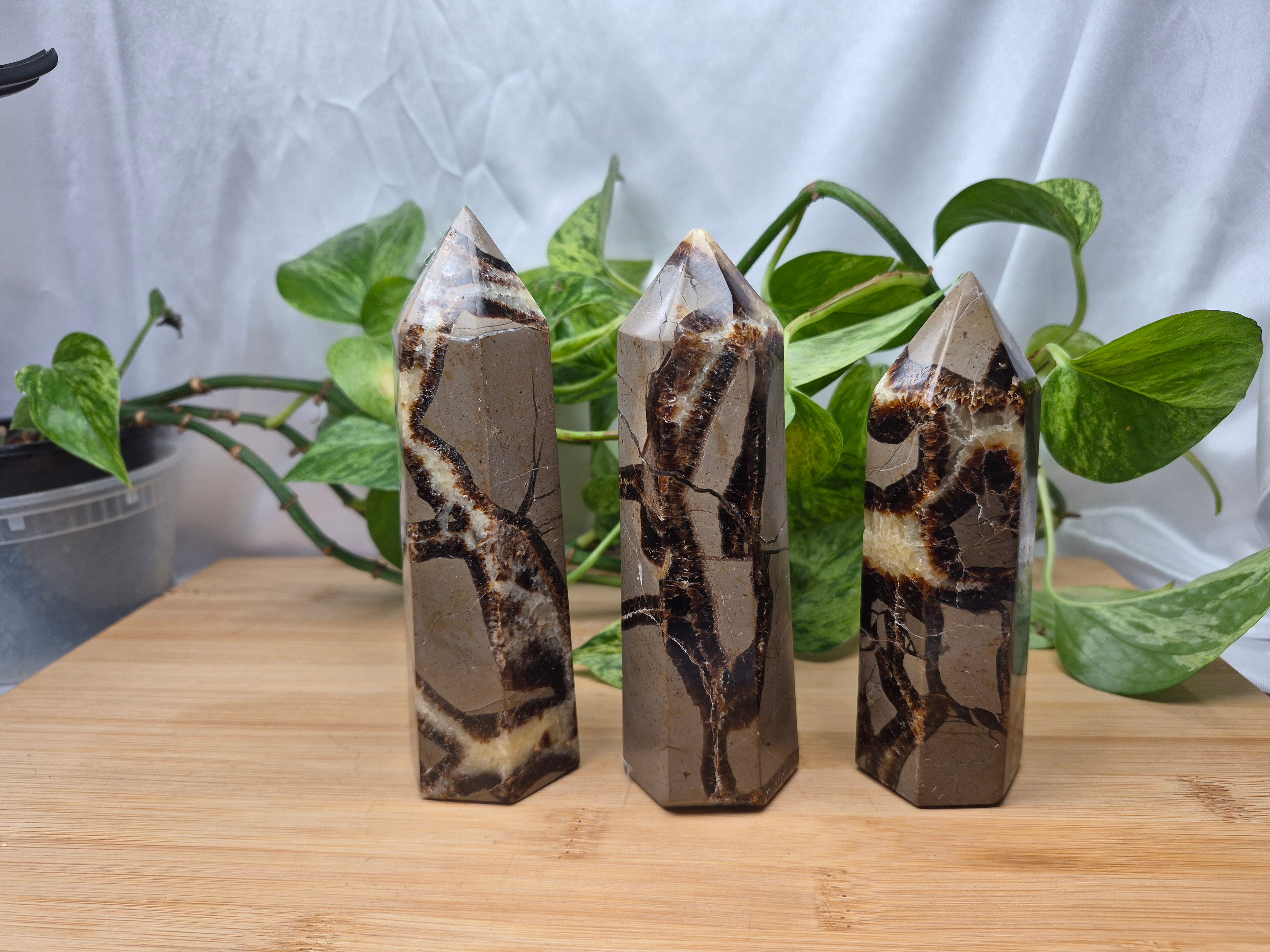SEPTARIAN TOWER