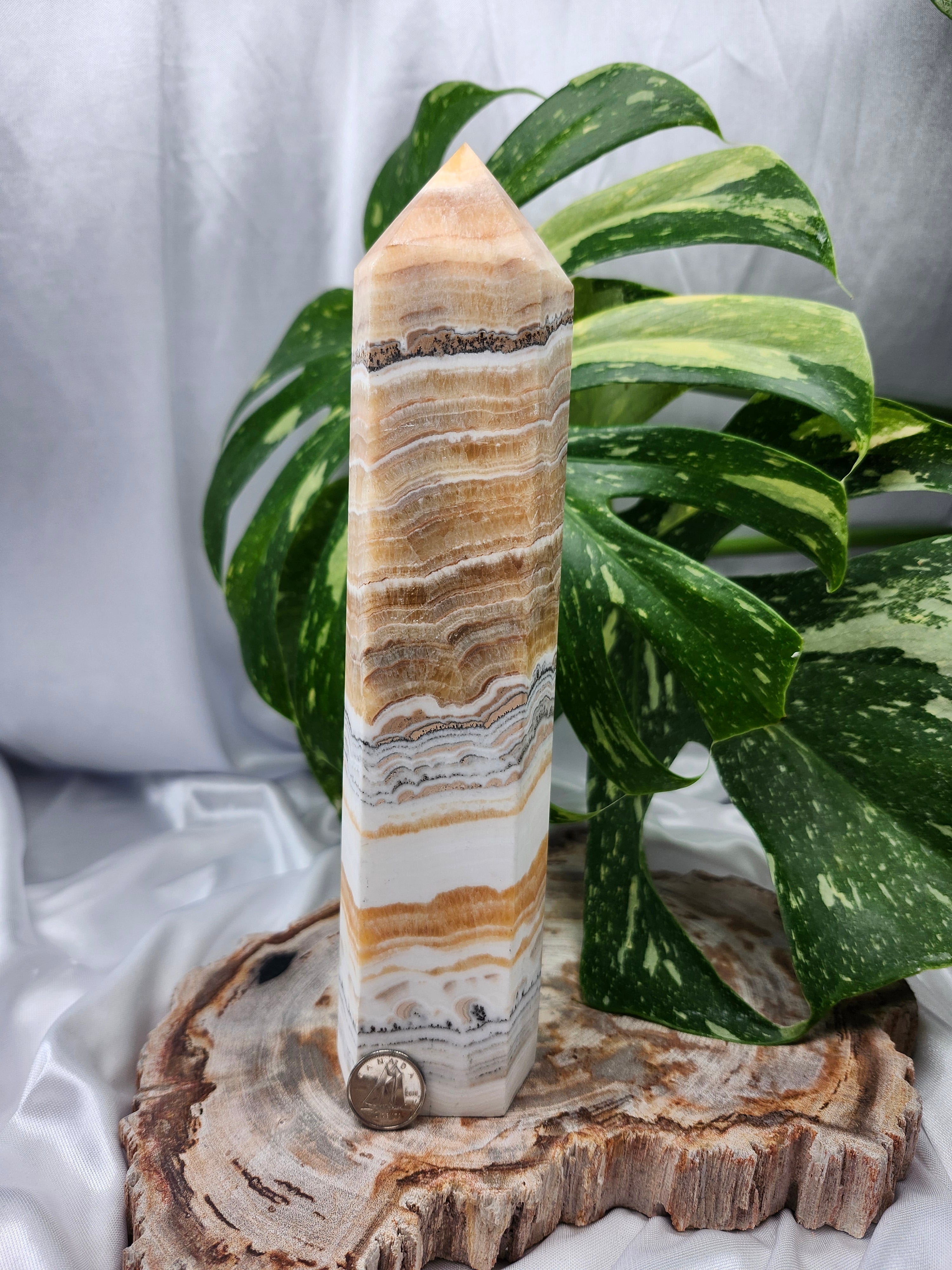 BLACK PHANTOM CALCITE TOWER #2