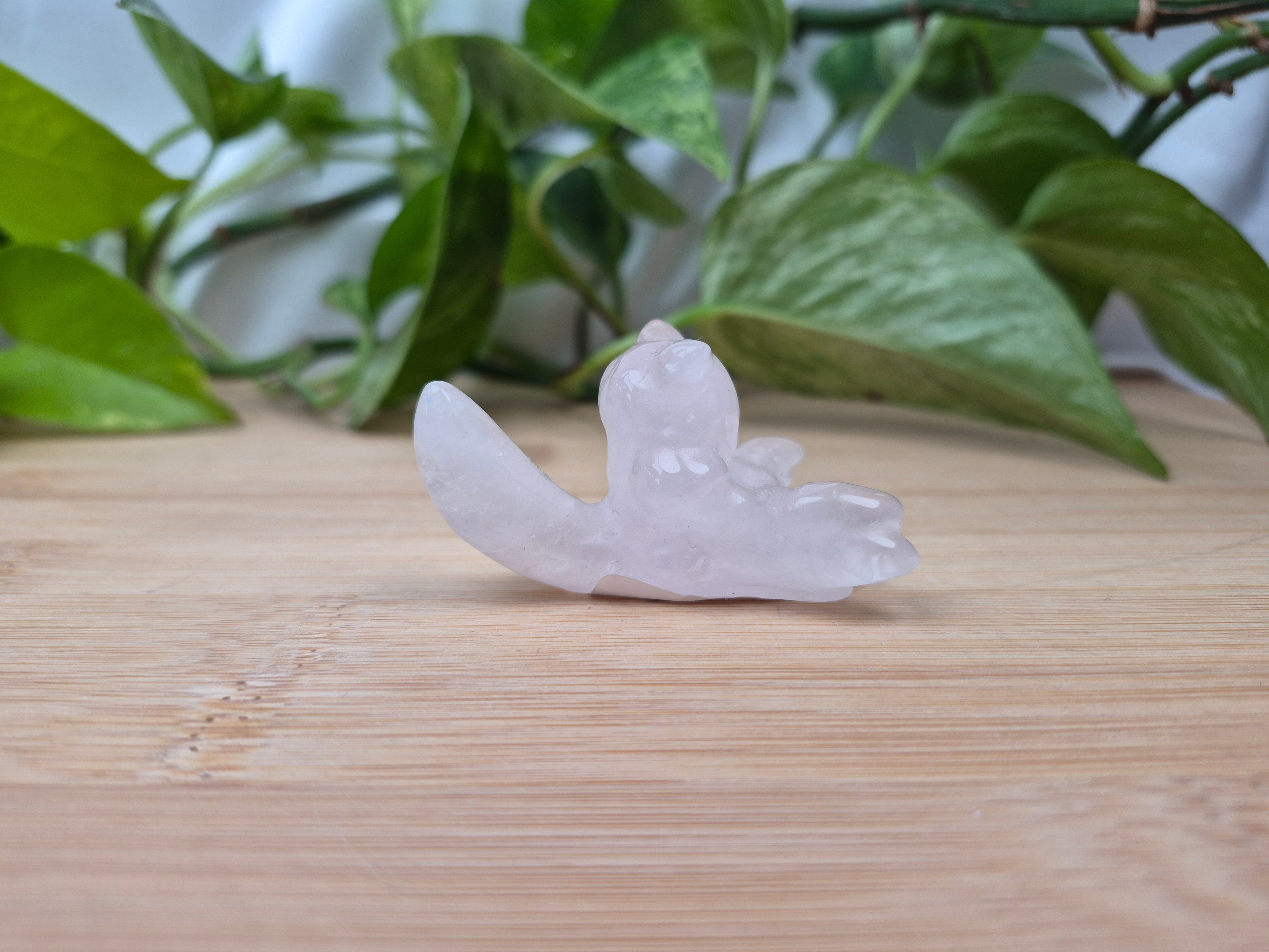 ROSE QUARTZ ABRA