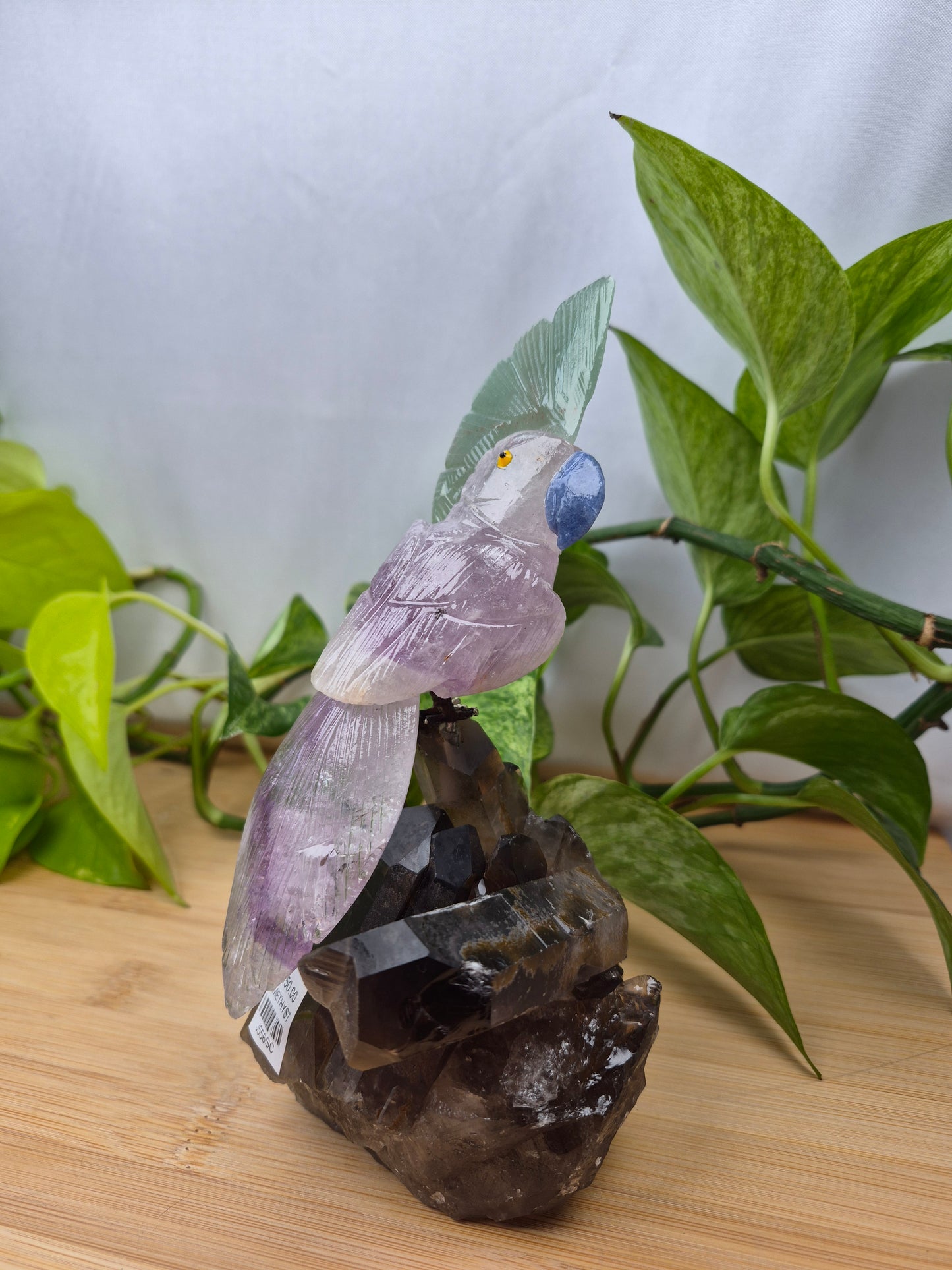 AMETHYST PARROT