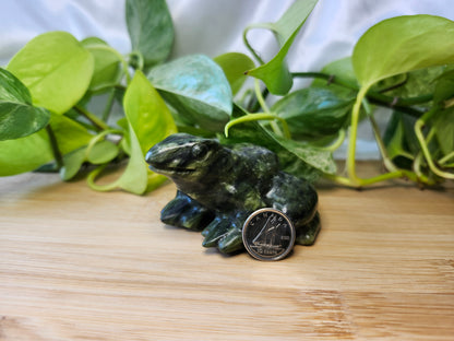 JADE FROG MED