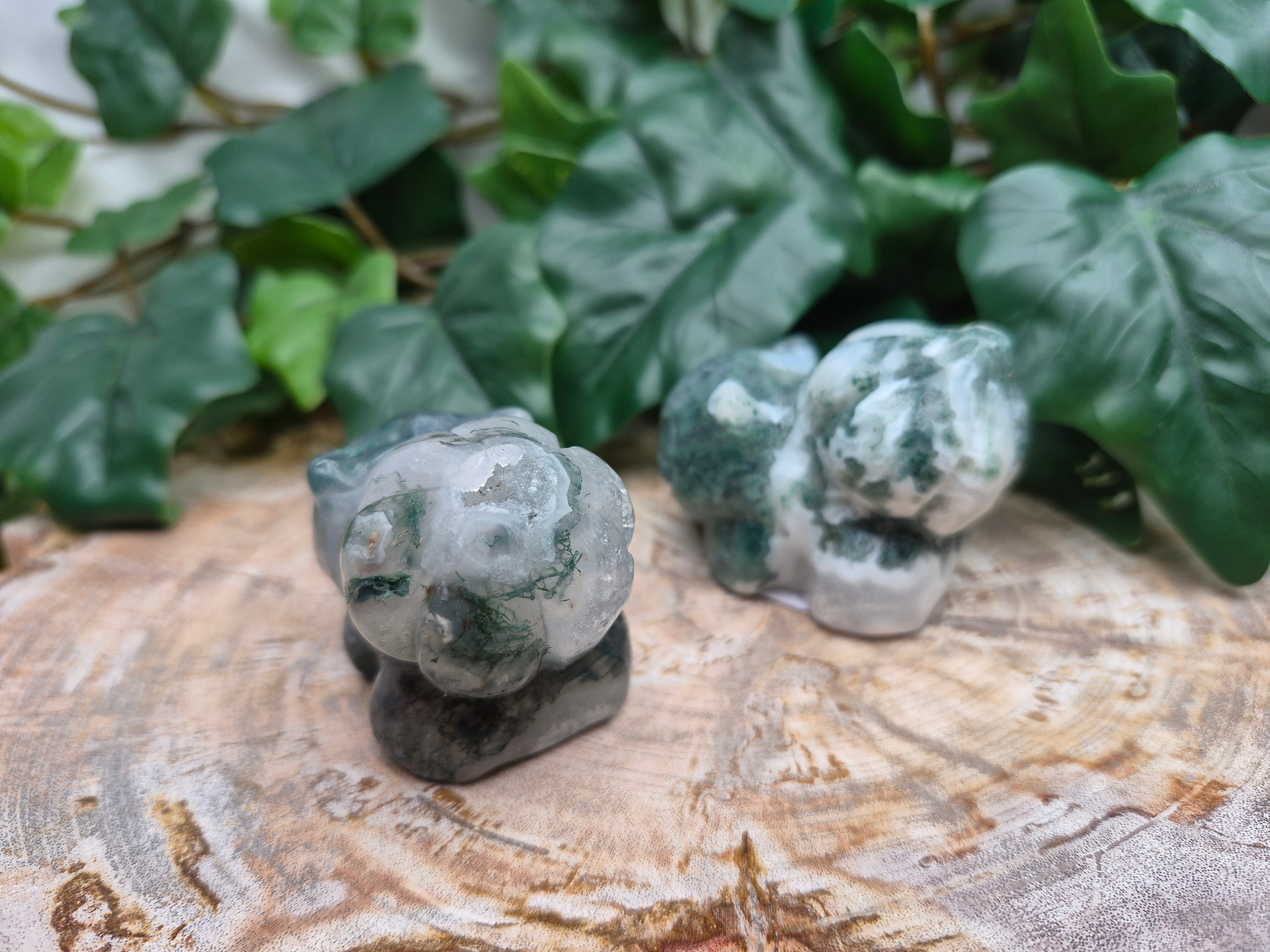 MOSS AGATE BULBASAUR