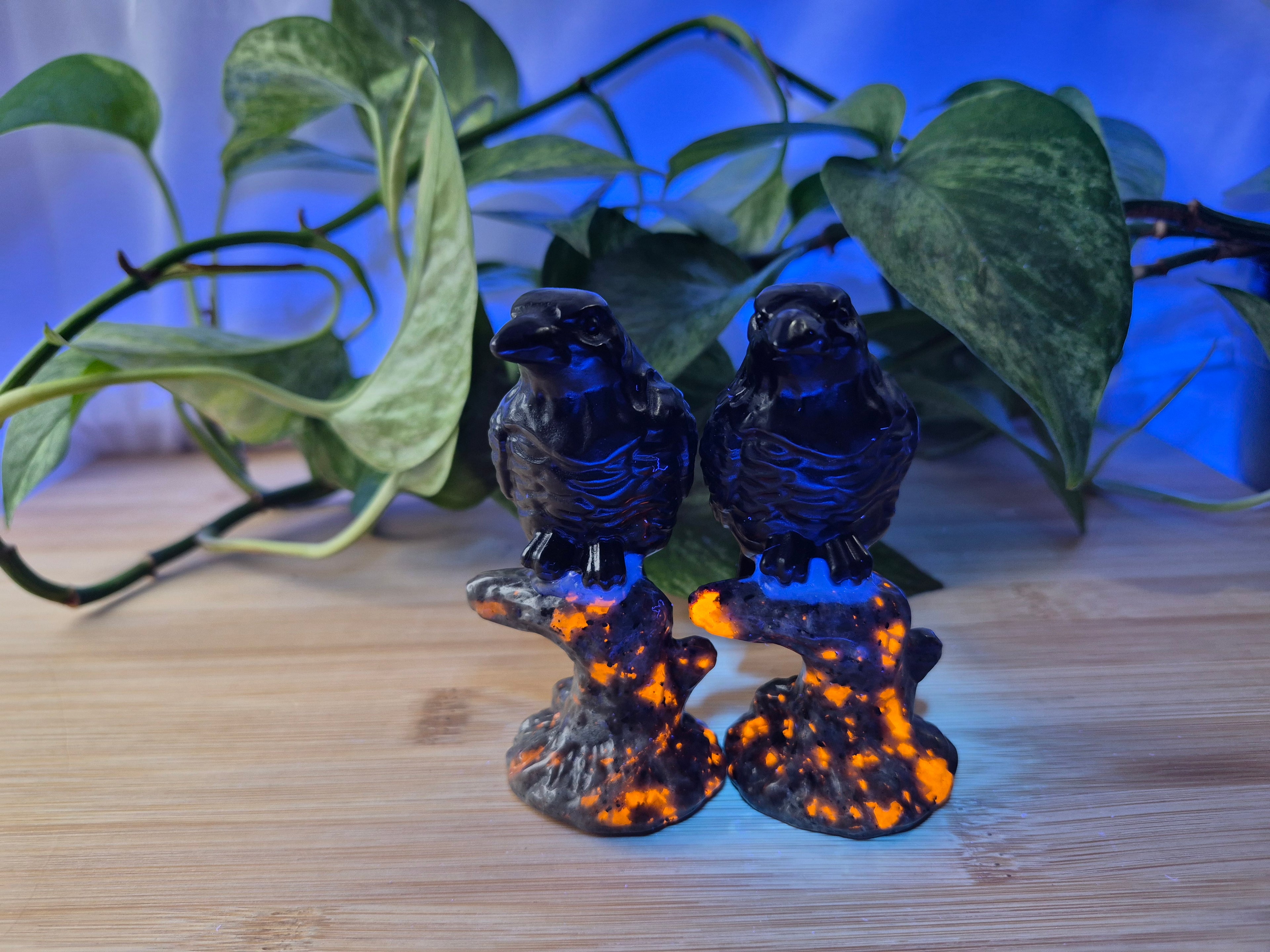 YOOPERLITE & OBSIDIAN RAVEN