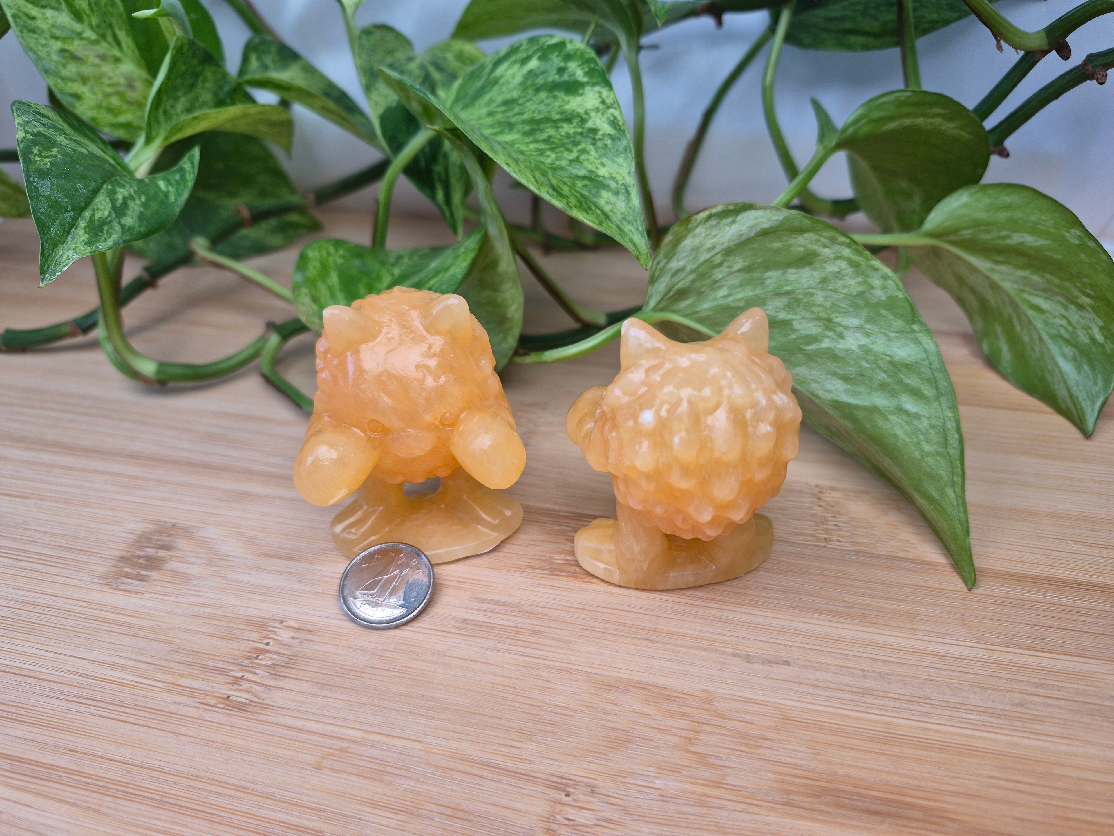 ORANGE CALCITE PRIMEAPE LG