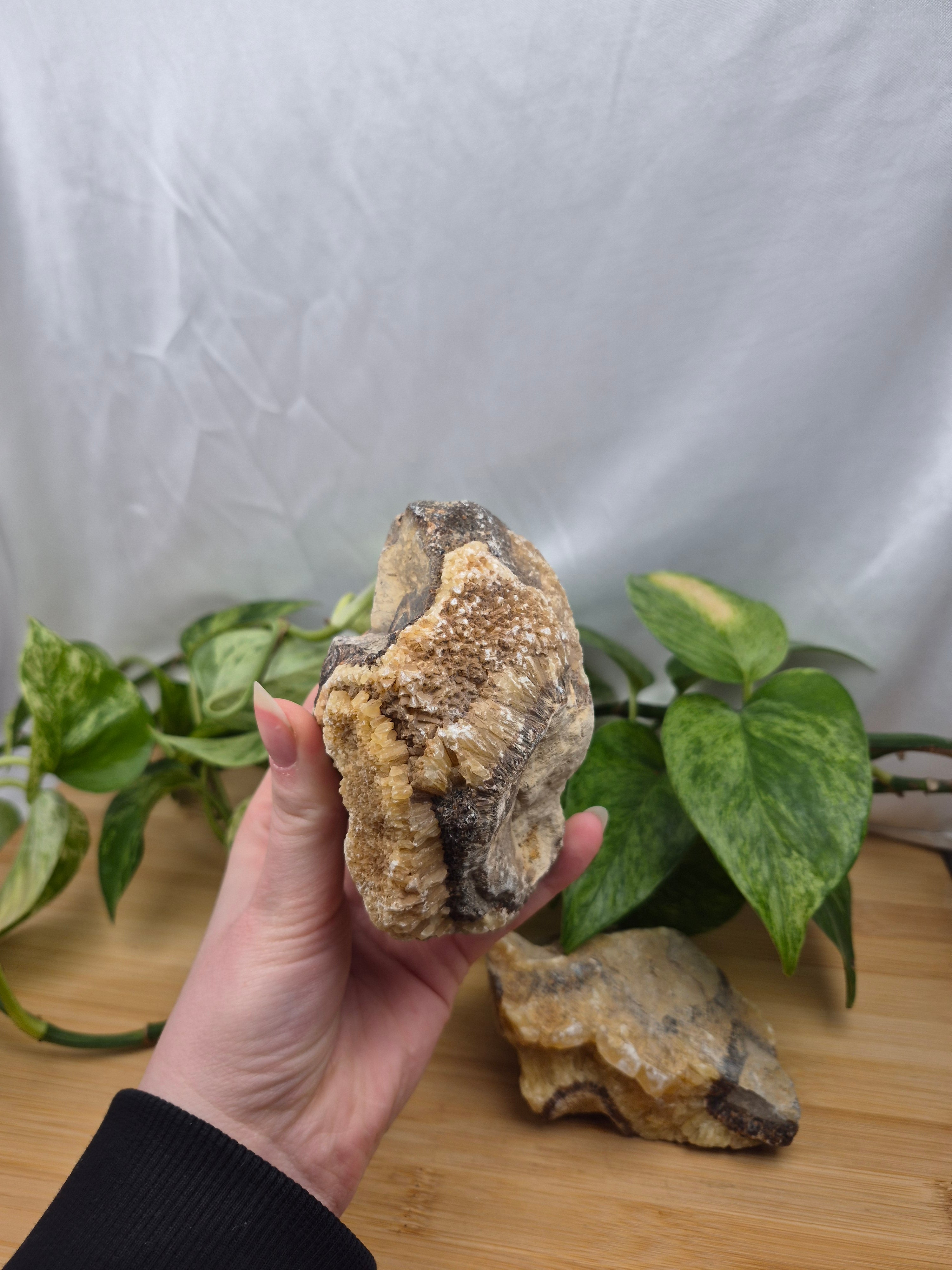 SEPTARIAN ROUGH CHUNK