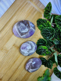 CHEVRON AMETHYST PALM