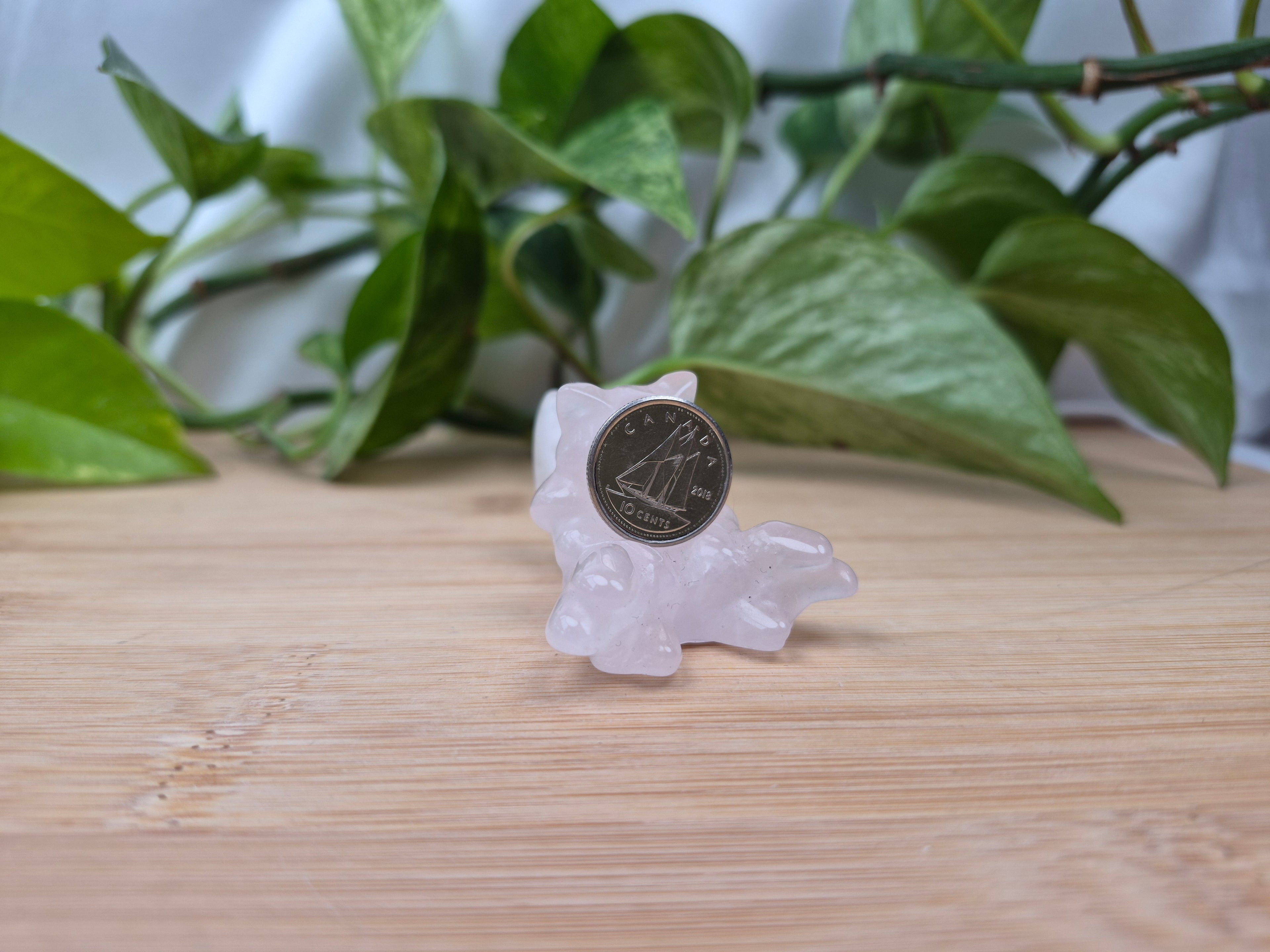 ROSE QUARTZ ABRA