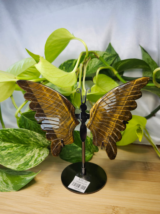 TIGER'S EYE BUTTERFLY WINGS