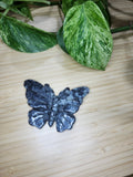 LARVIKITE BUTTERFLY