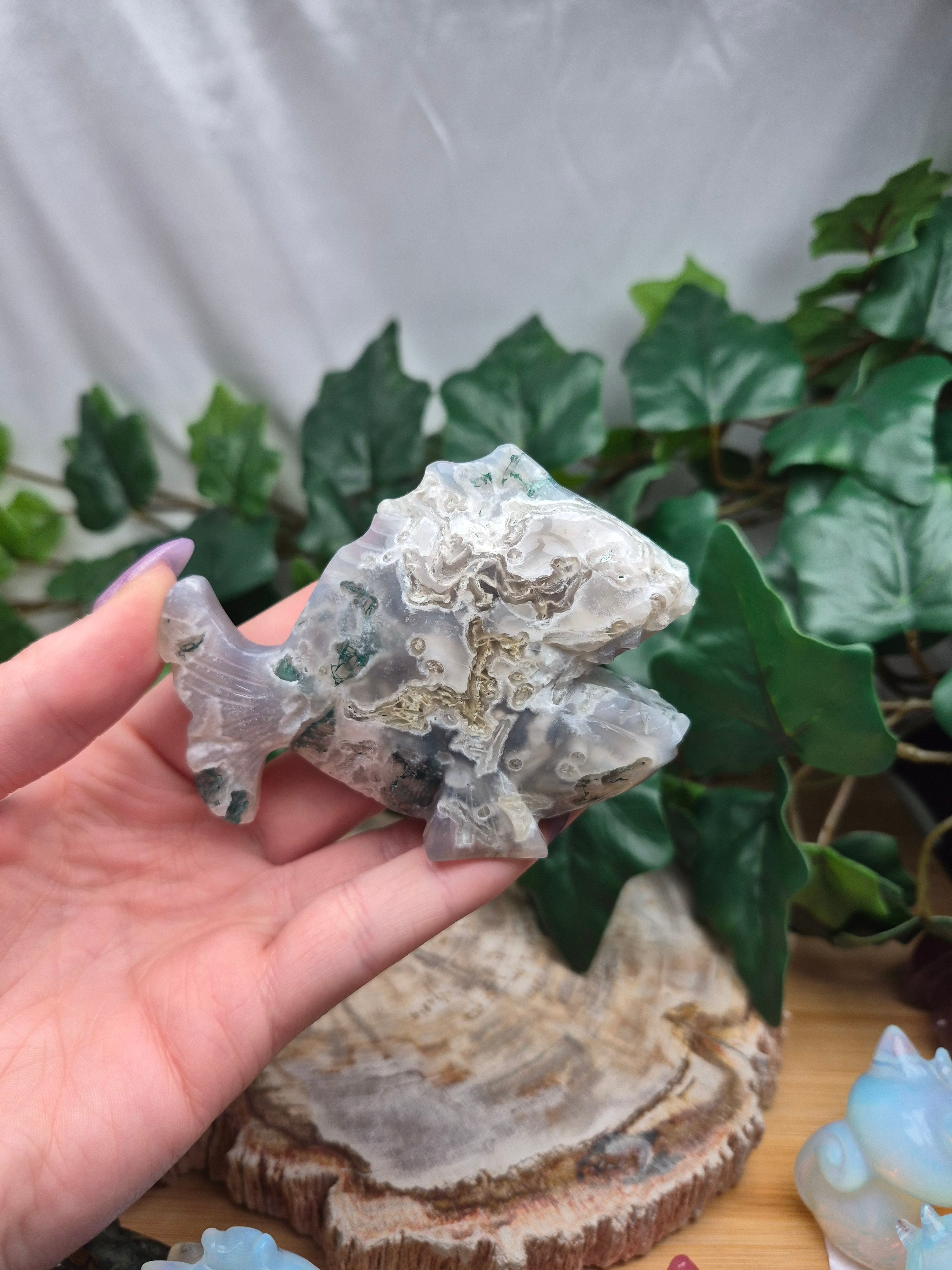 MOSS AGATE ANGLER FISH