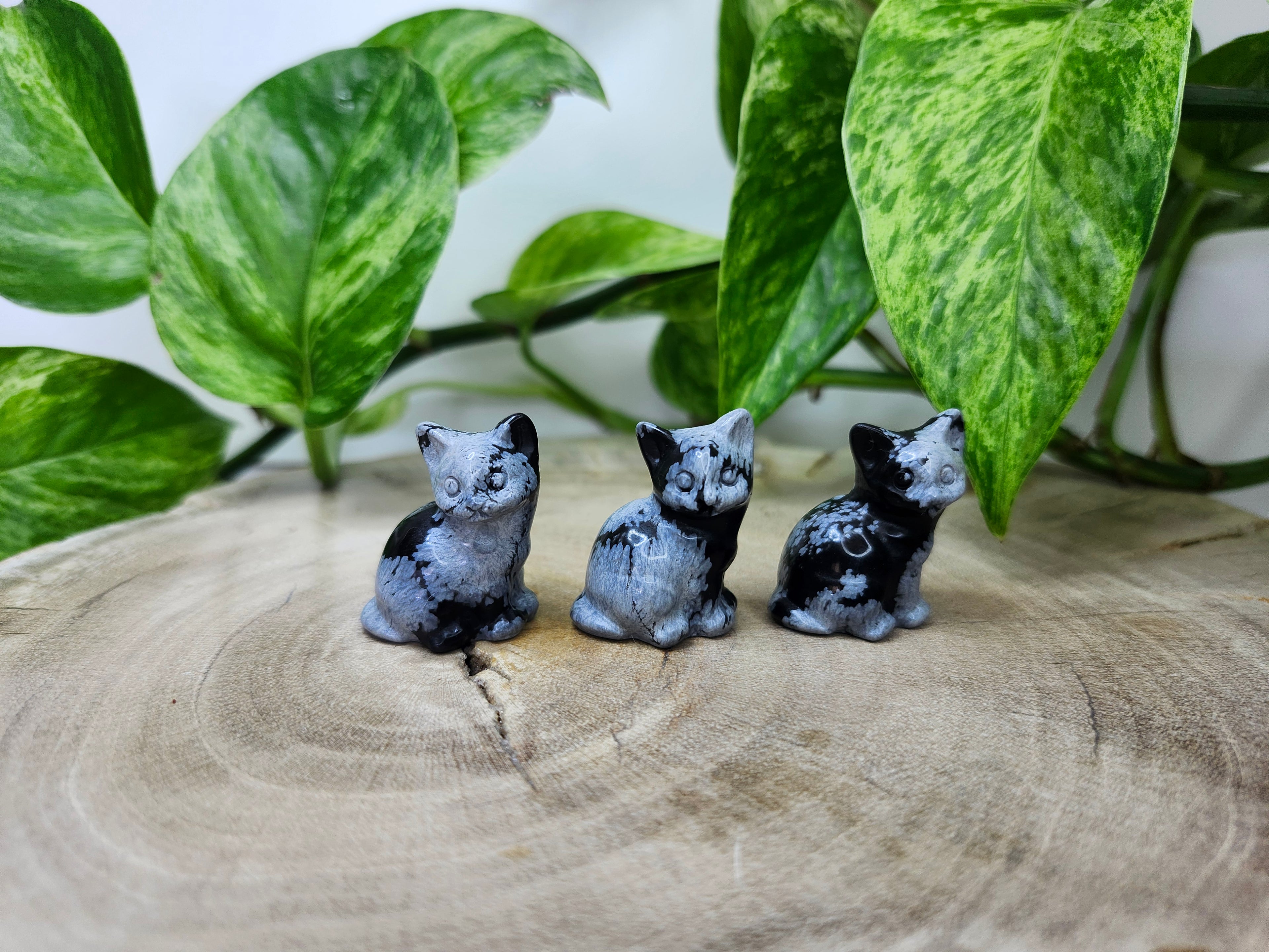 SNOWFLAKE OBSIDIAN SITTING CAT