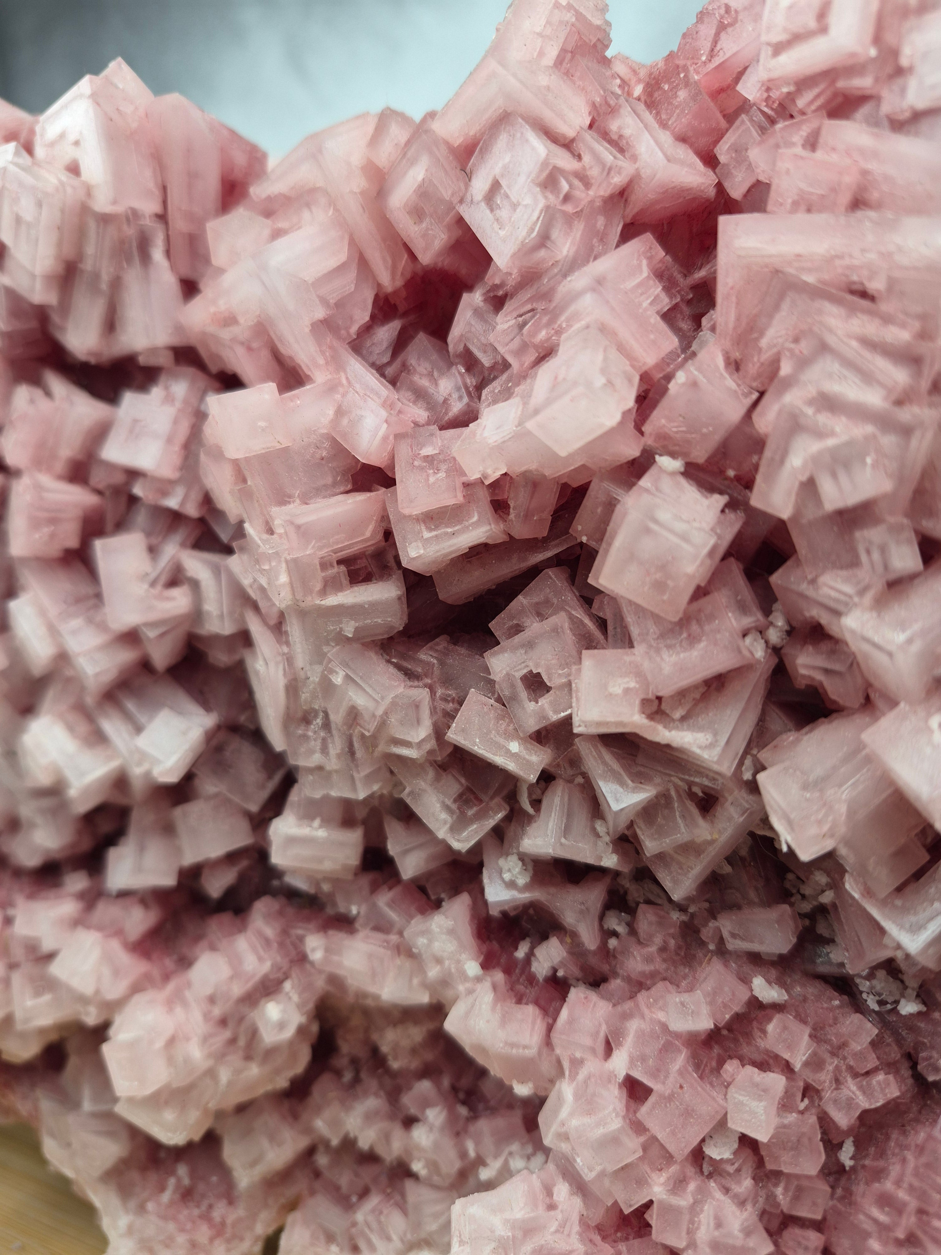 PINK HALITE CLUSTER XL