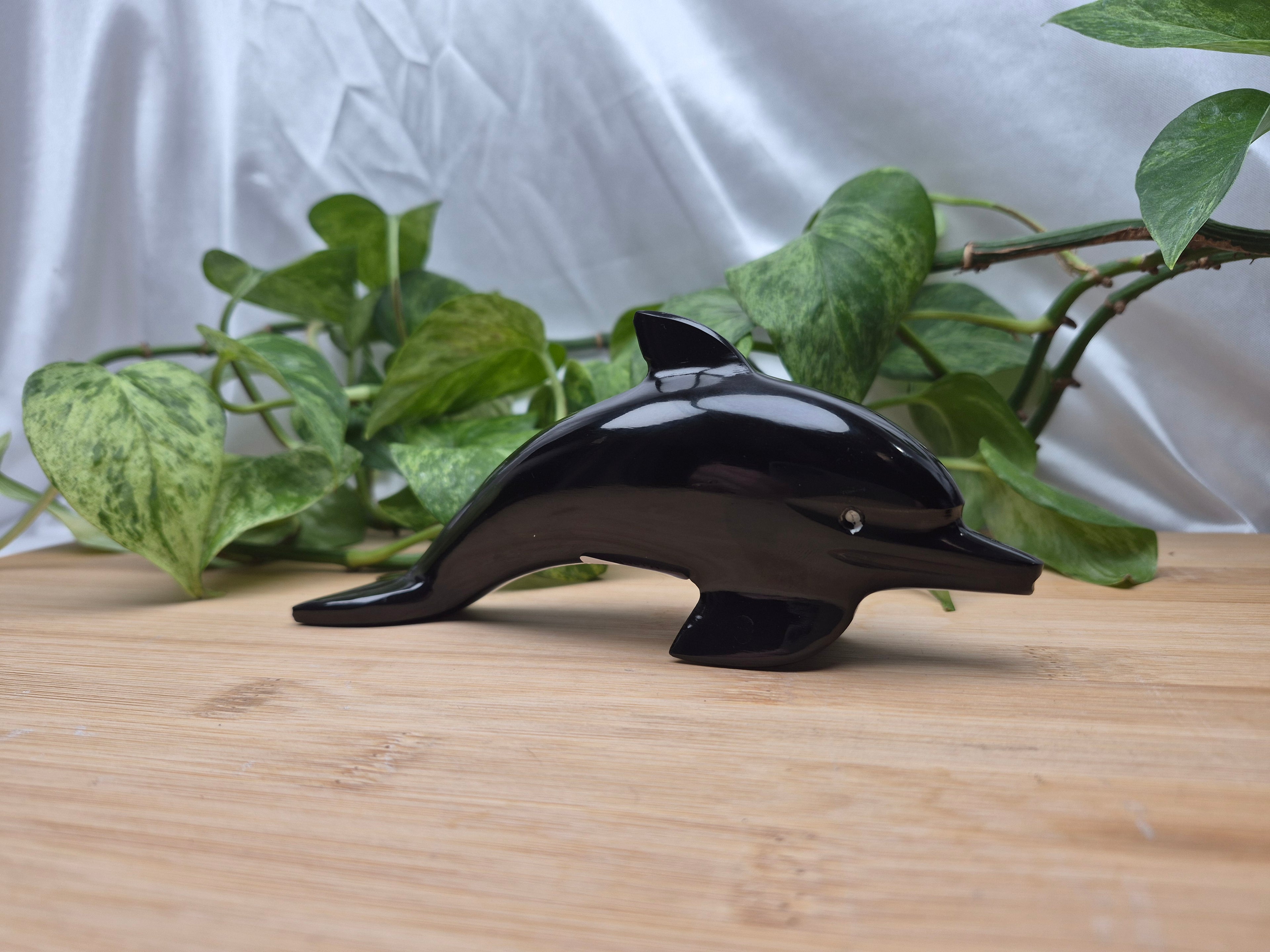 OBSIDIAN DOLPHIN