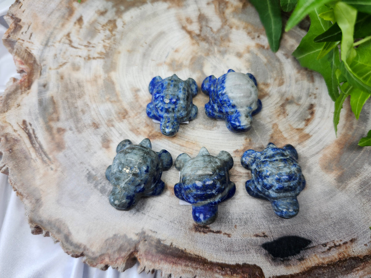 LAPIS LAZULI TURTLE